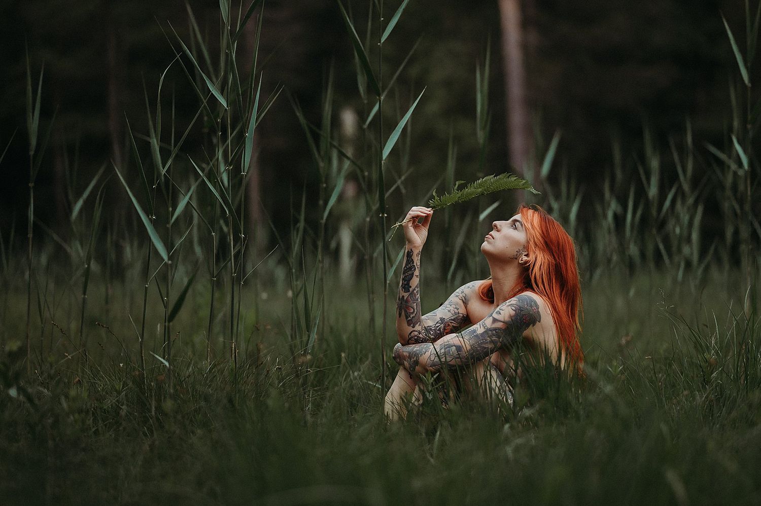 Frau mit rotem Haar und Tattoos sitzt in hohem Gras bei einem Boudoirshooting im Wald in der Schweiz