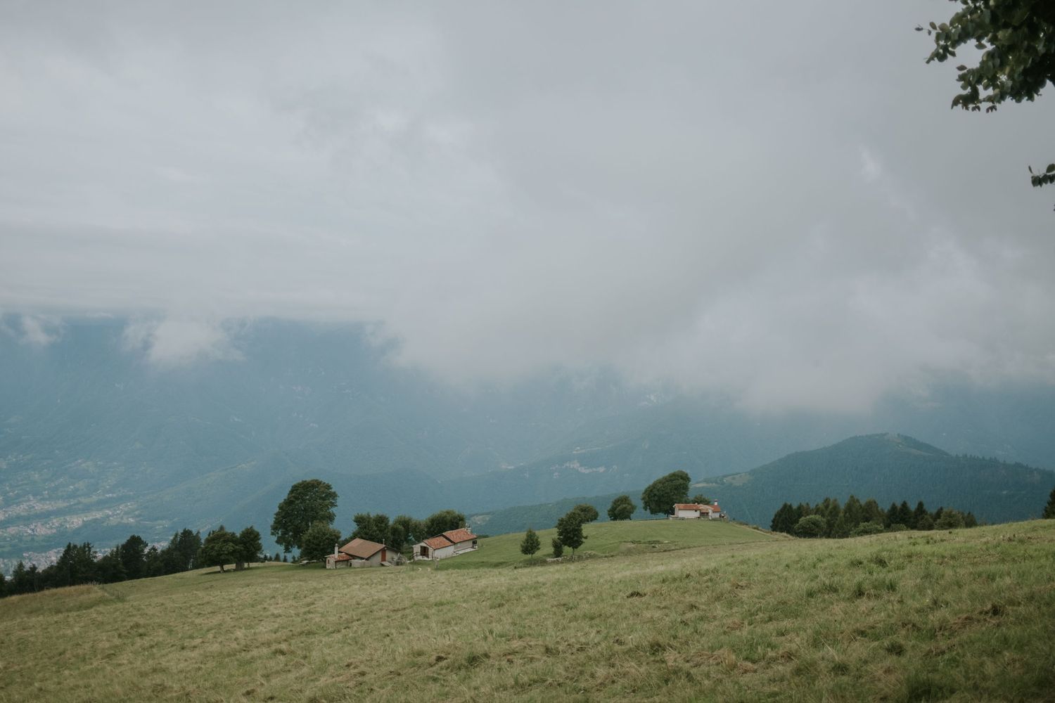 Rolling green hillside with scattered trees overlooking a distant mountain valley.