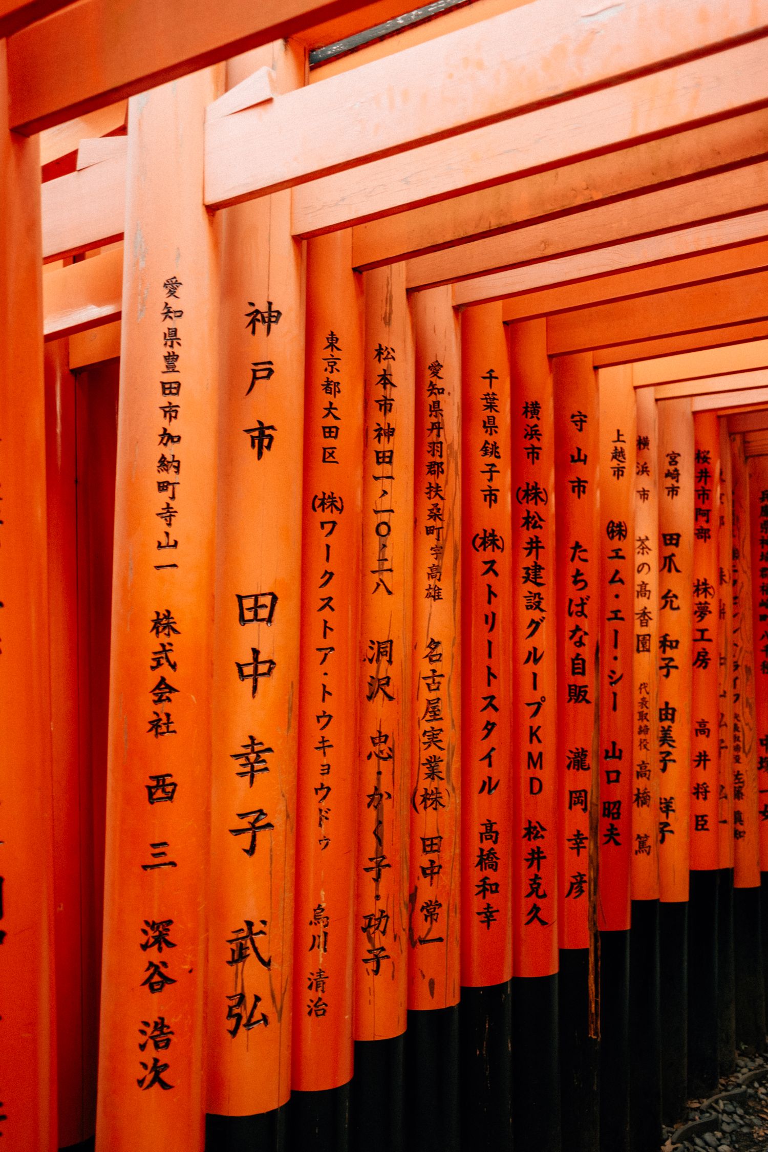 Iconic orange torii gates at Fushimi Inari Shrine in Kyoto with Japanese calligraphy on the pillars.