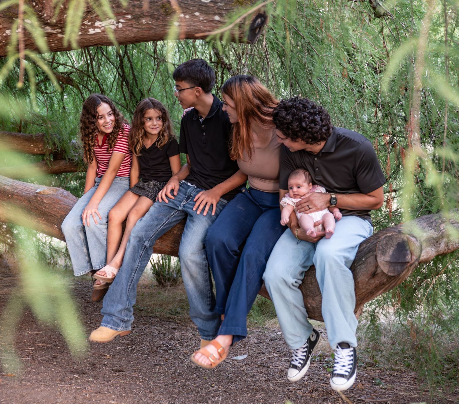 Family of six perched on a large willow tree branch, connecting and laughing. ages 14 to newborn. Salem., OR.