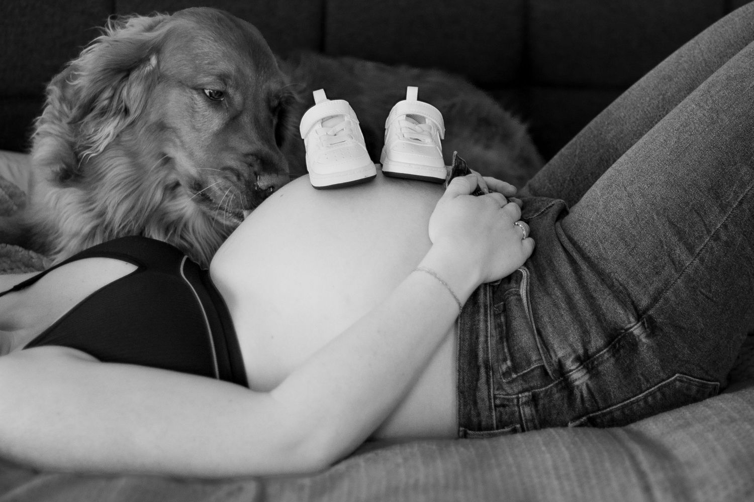 Black and white photo showing tiny baby shoes placed on a pregnant belly with a golden retriever resting nearby. Located in Salem, OR