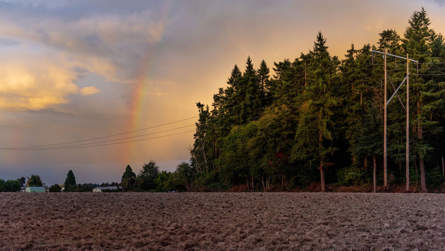 Dramatic sunset sky over rural farmland with silhouetted trees and power lines stretching across the horizon. Pratum, OR