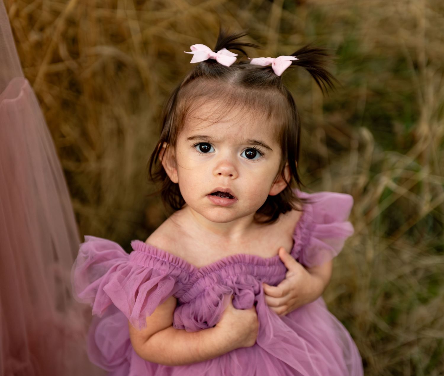 Toddler headshot in a field located in Salem, OR