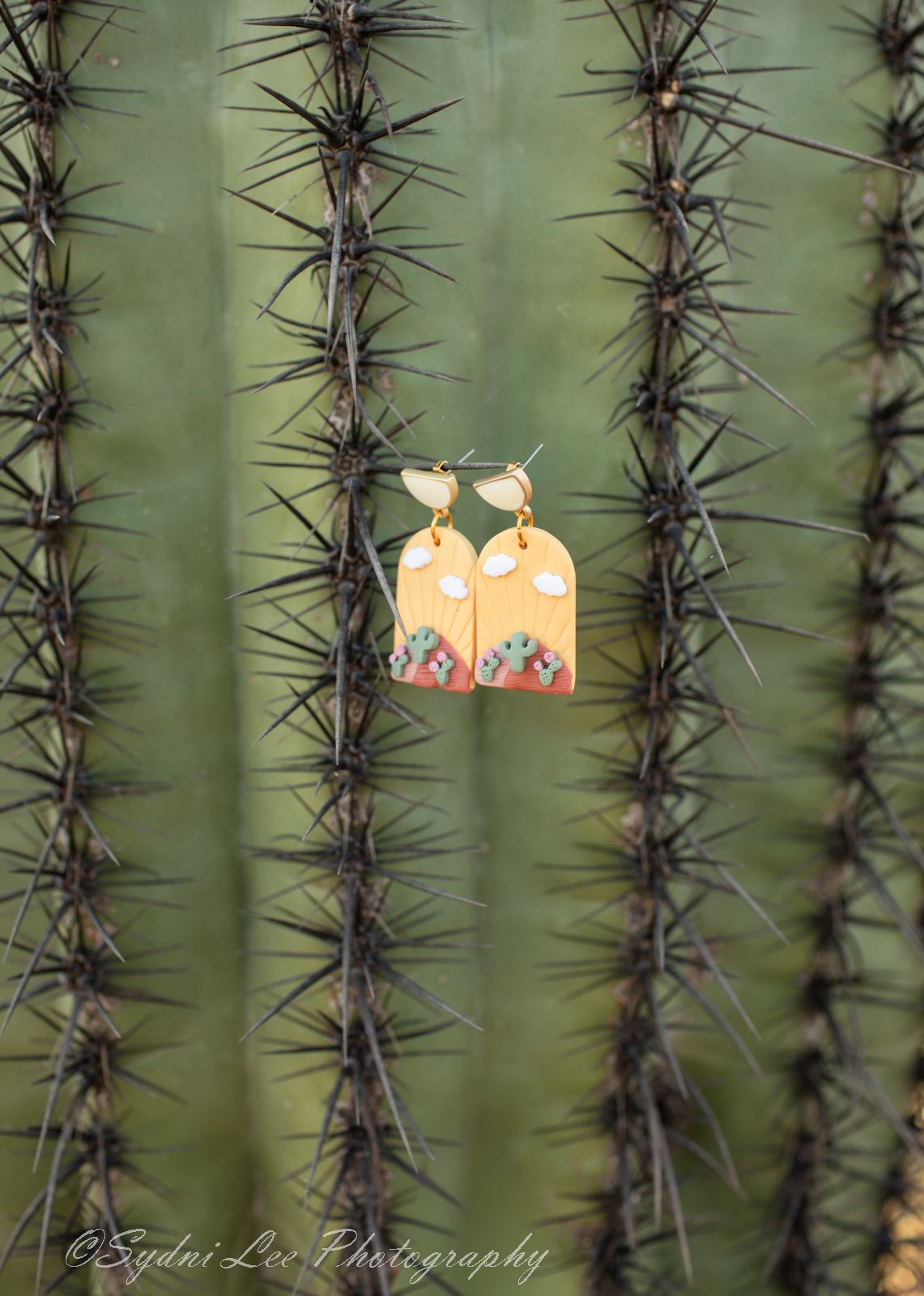 Close-up macro photograph of a saguaro cactus spines with soft bokeh lights in the background.