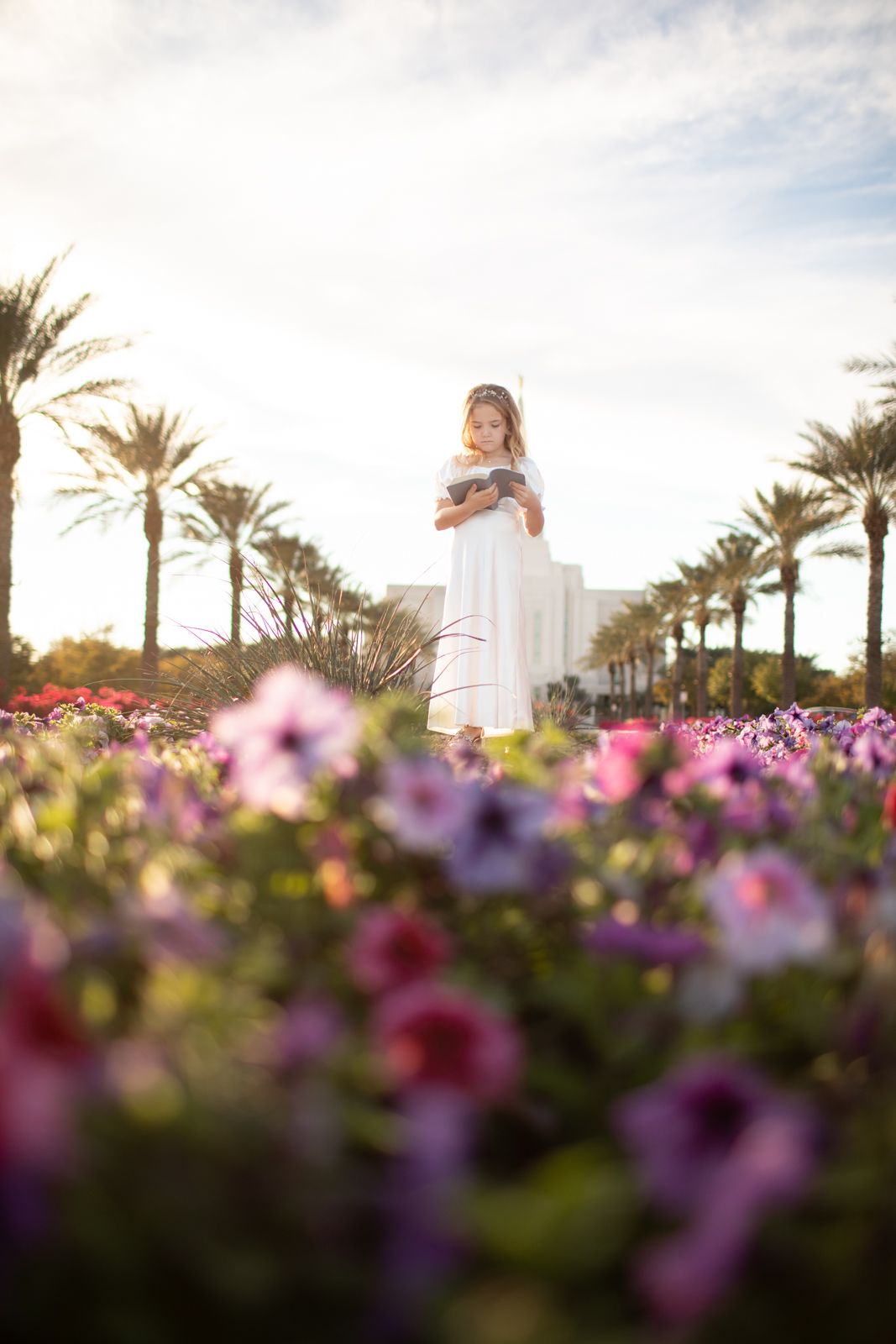 Pink and purple flowers bloom in a garden with palm trees and golden sunlight in the background at the Gilbert Temple.