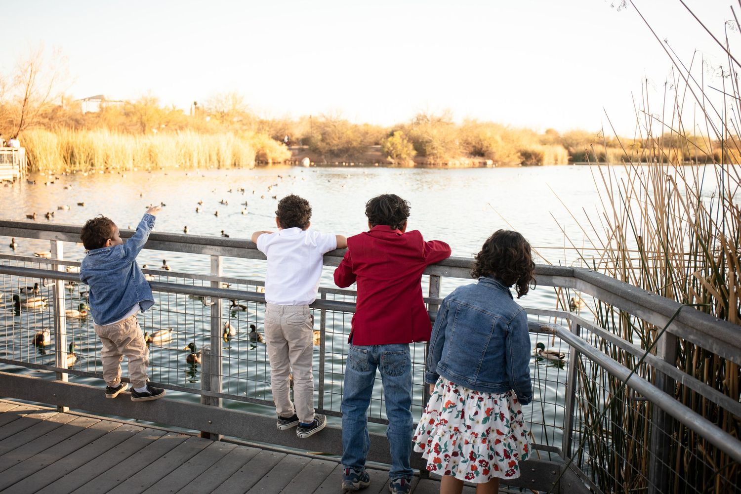 People lean on a railing overlooking a scenic waterfront during sunset at a coastal boardwalk at The Riparian Preserve in Gilbert, Arizona.