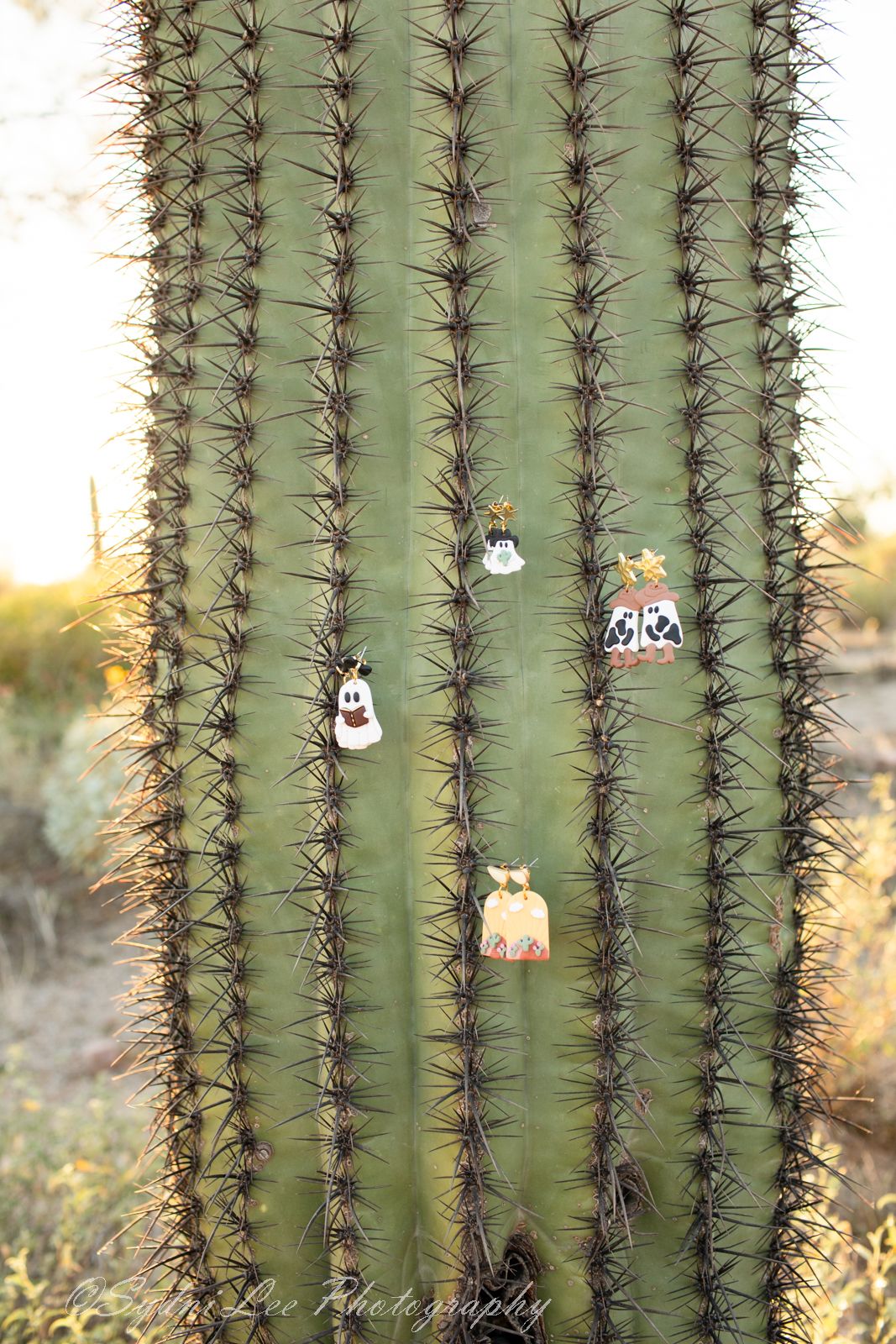 Small decorative ghost and cat figures playfully arranged between the spines of a large Saguaro cactus in desert sunlight.