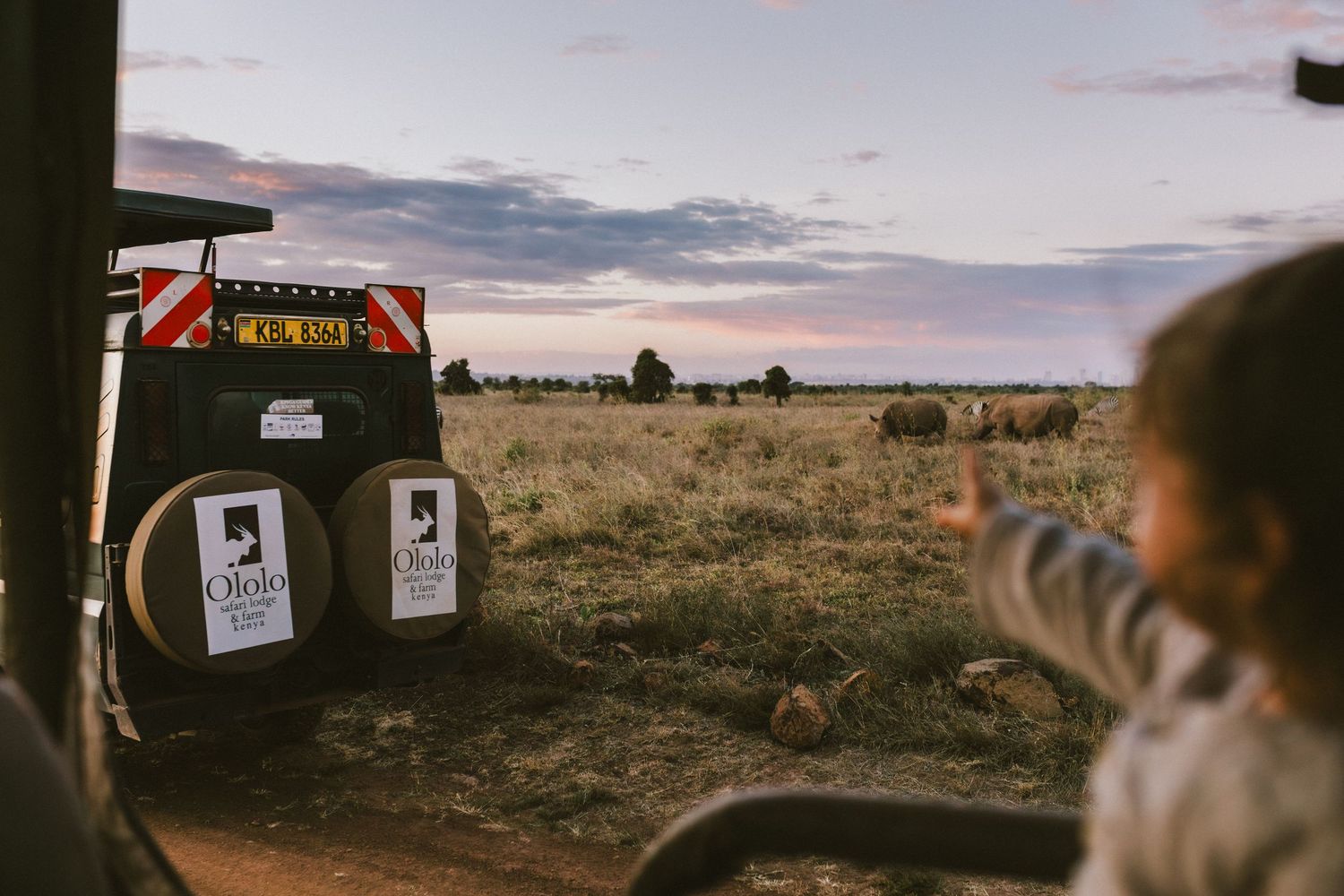 Child pointing from safari vehicle toward grazing animals on African savanna at dusk, with Ololo branding visible.