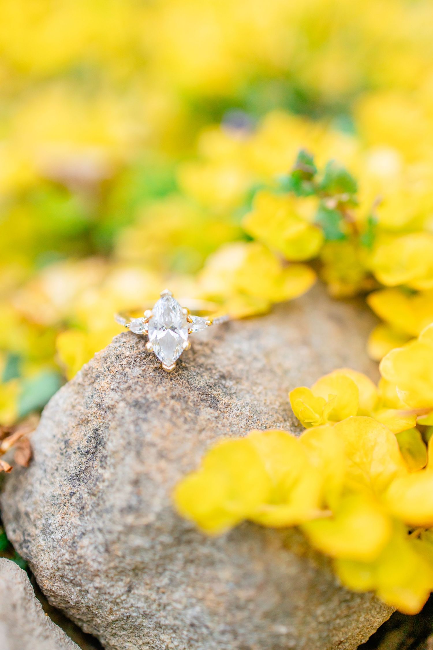 Marquise diamond engagement ring resting on a stone surrounded by vibrant yellow autumn leaves.