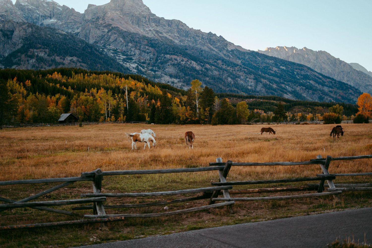 Elegant outdoor wedding ceremony in Jackson Hole, Wyoming with scenic mountain backdrop