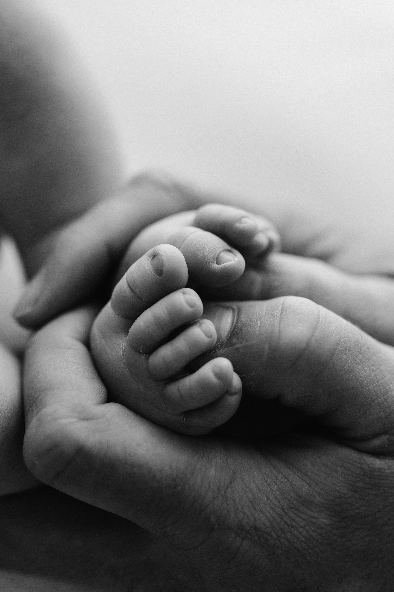 A tender black and white photograph shows an adult's hand gently holding a tiny baby's hand in an intimate moment.