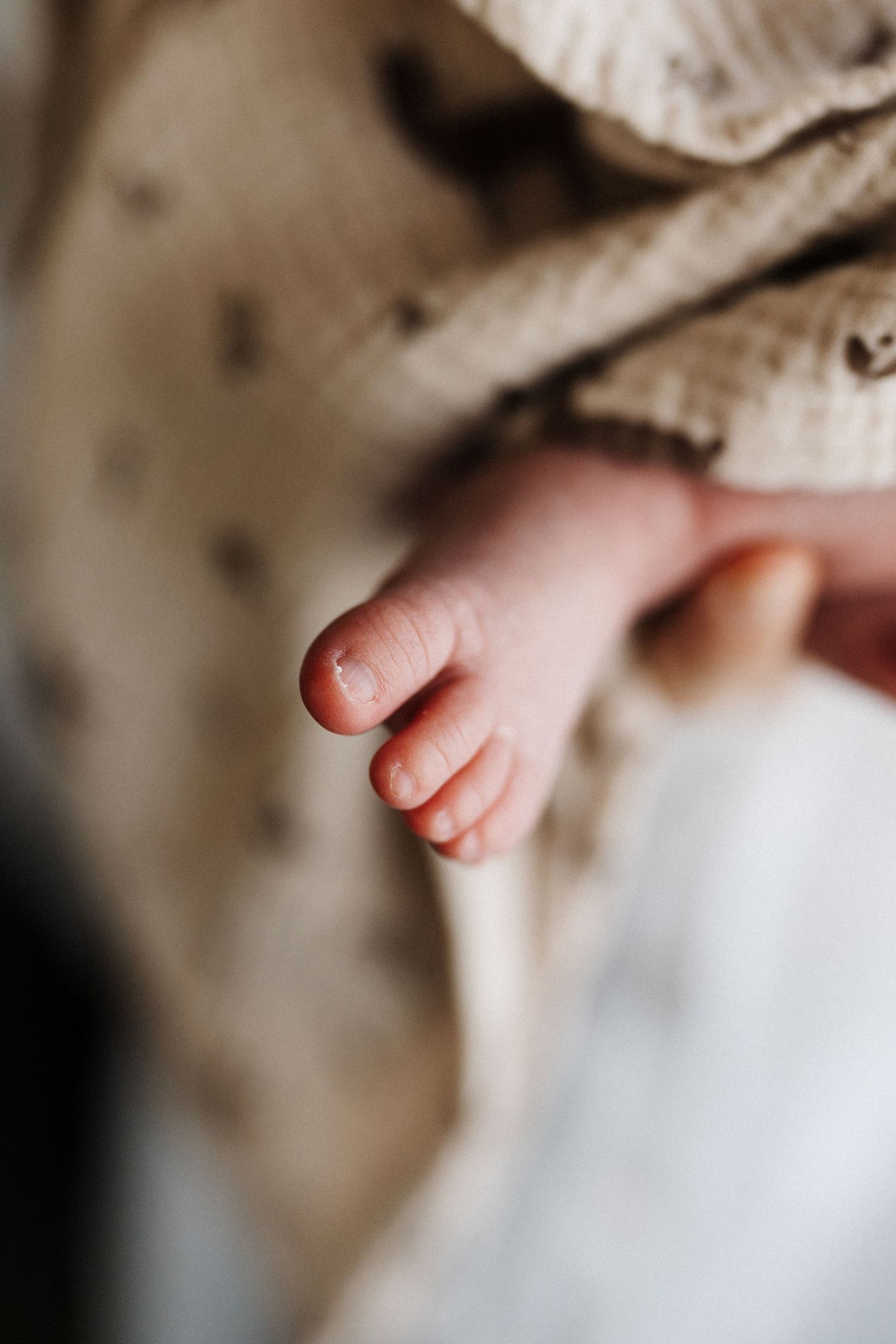 Close-up macro shot of tiny newborn baby toes against a soft white background, showing delicate pink skin texture.