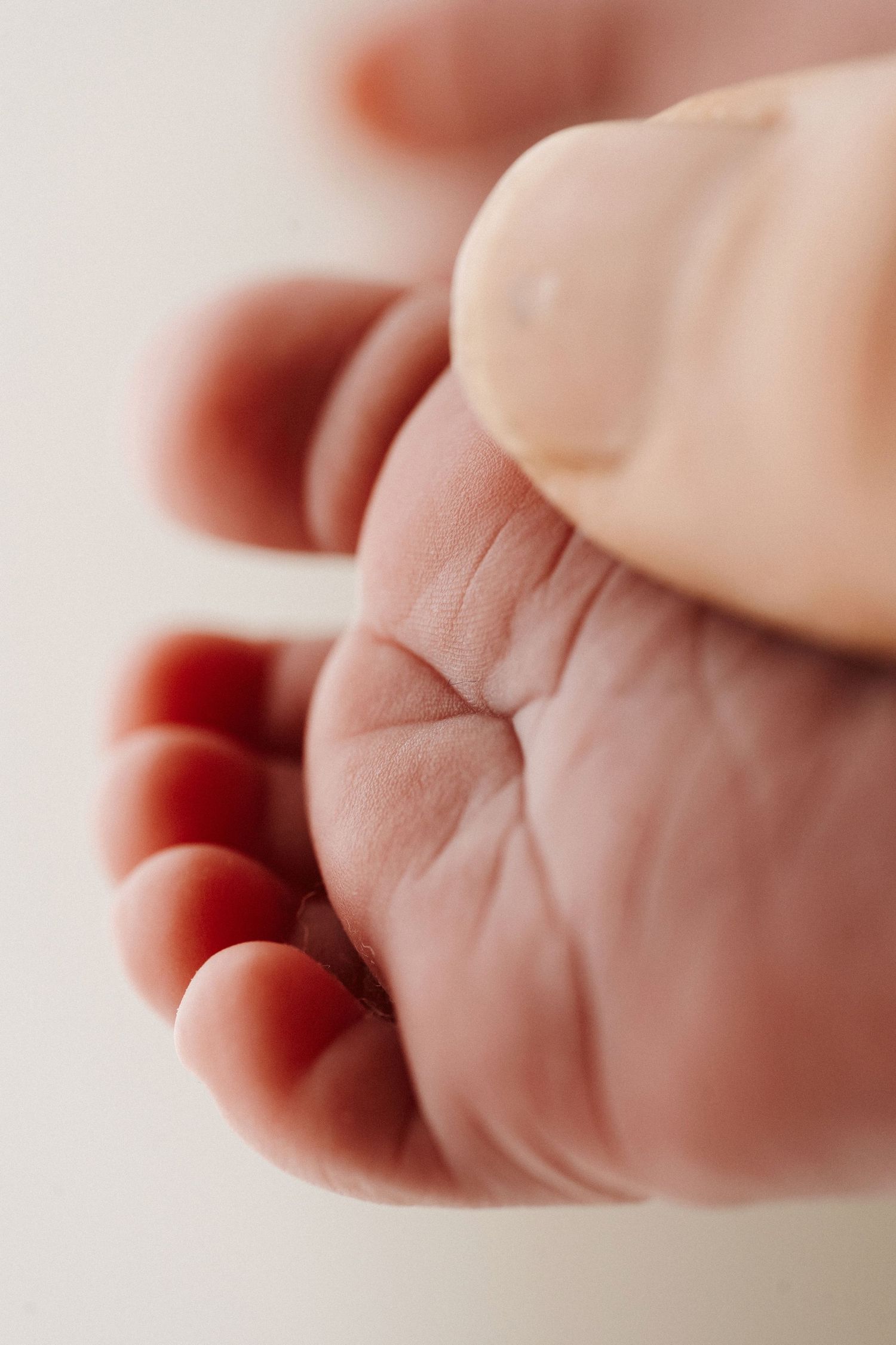Close up photo of tiny newborn baby's hand with soft pink skin and delicate wrinkles.