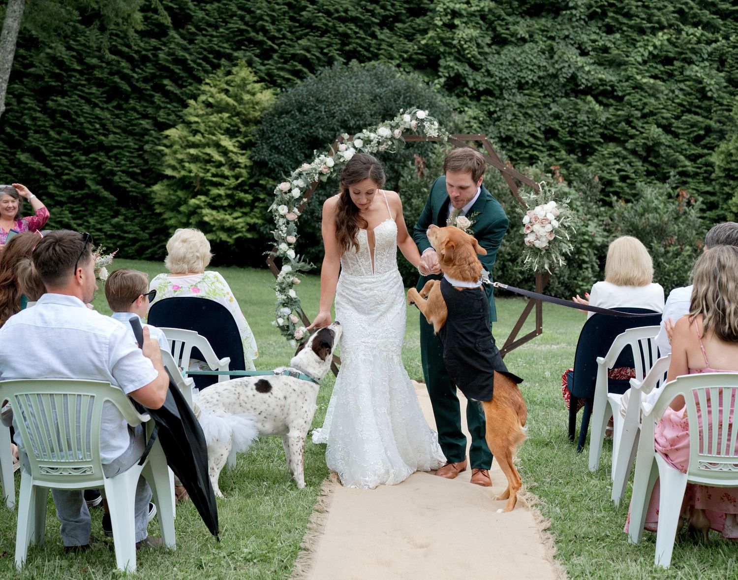 Bride and groom walk down aisle with dogs at charming outdoor garden wedding ceremony.