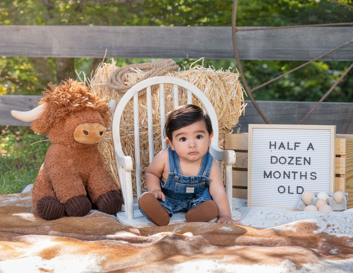 Baby boy in denim overalls sits beside highland cow stuffed animal with half dozen months sign.