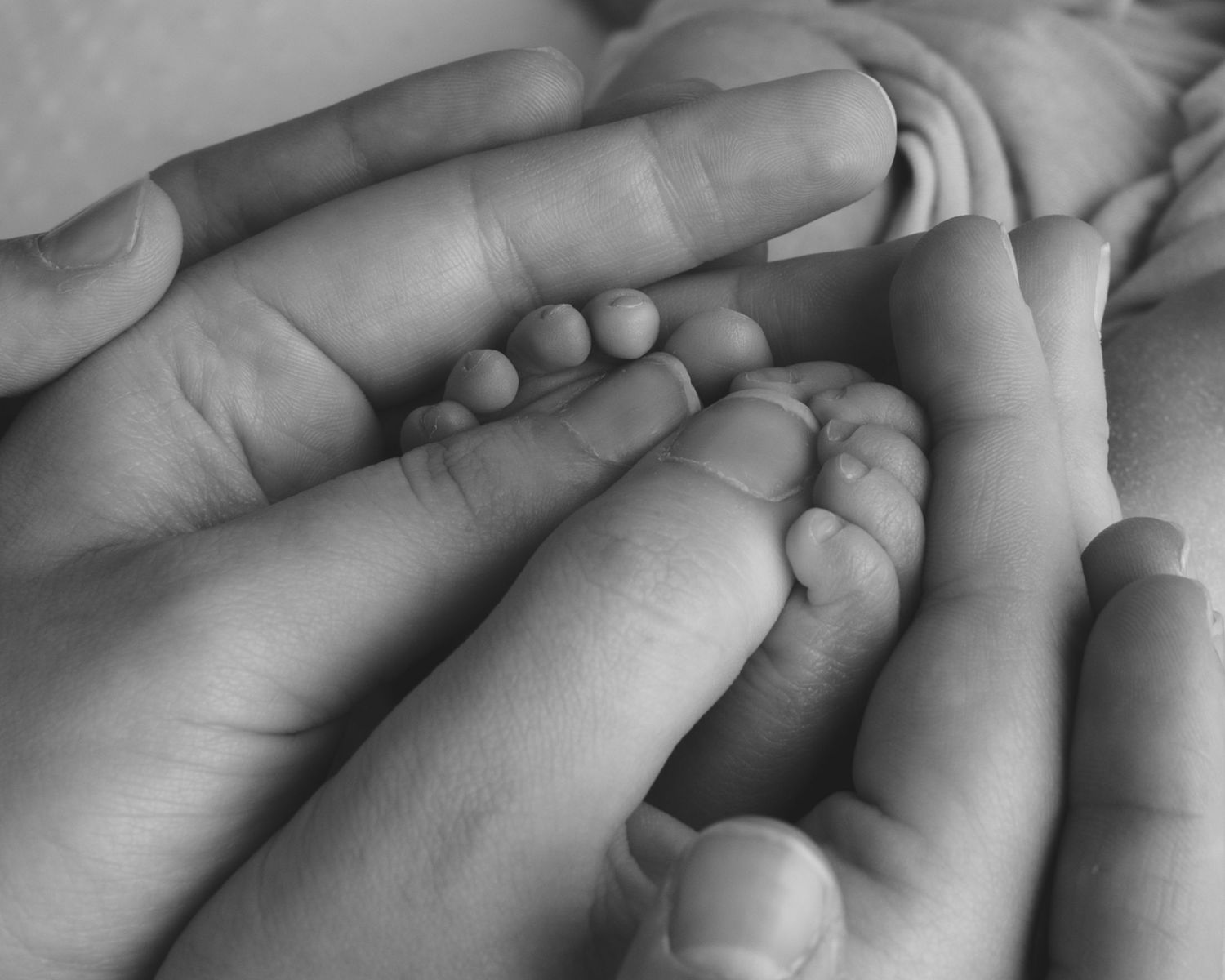 Close-up black and white photo of adult hands gently cradling tiny newborn baby feet.