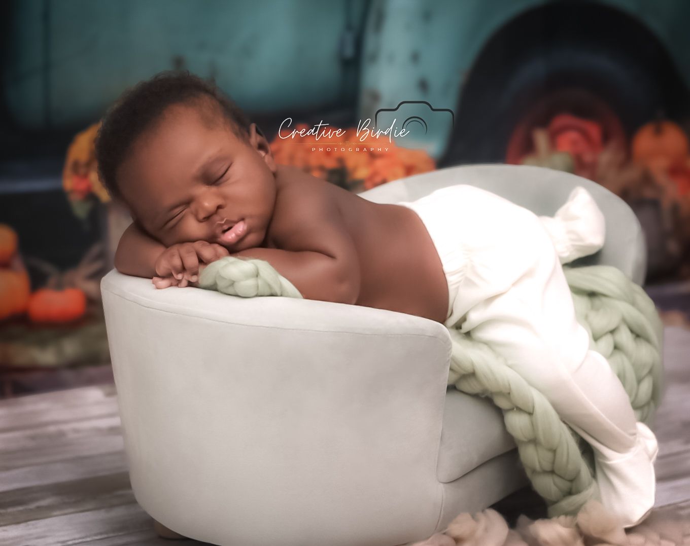 Newborn baby sleeping on a white bowl with a chunky knit blanket and pumpkins backdrop.