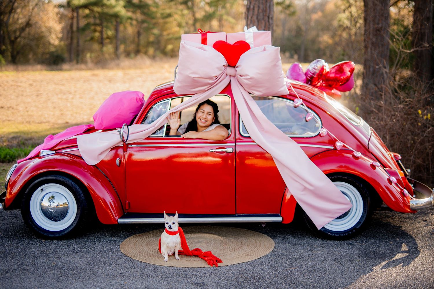 A red Volkswagen Beetle decorated for Valentine's Day with a small dog sitting below.