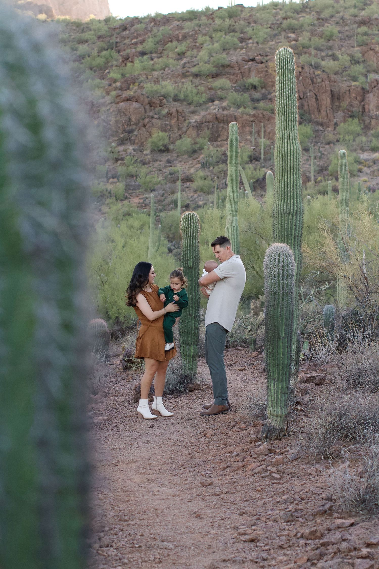 A sequence of photos showing people posing and interacting with tall saguaro cactus in a desert landscape.