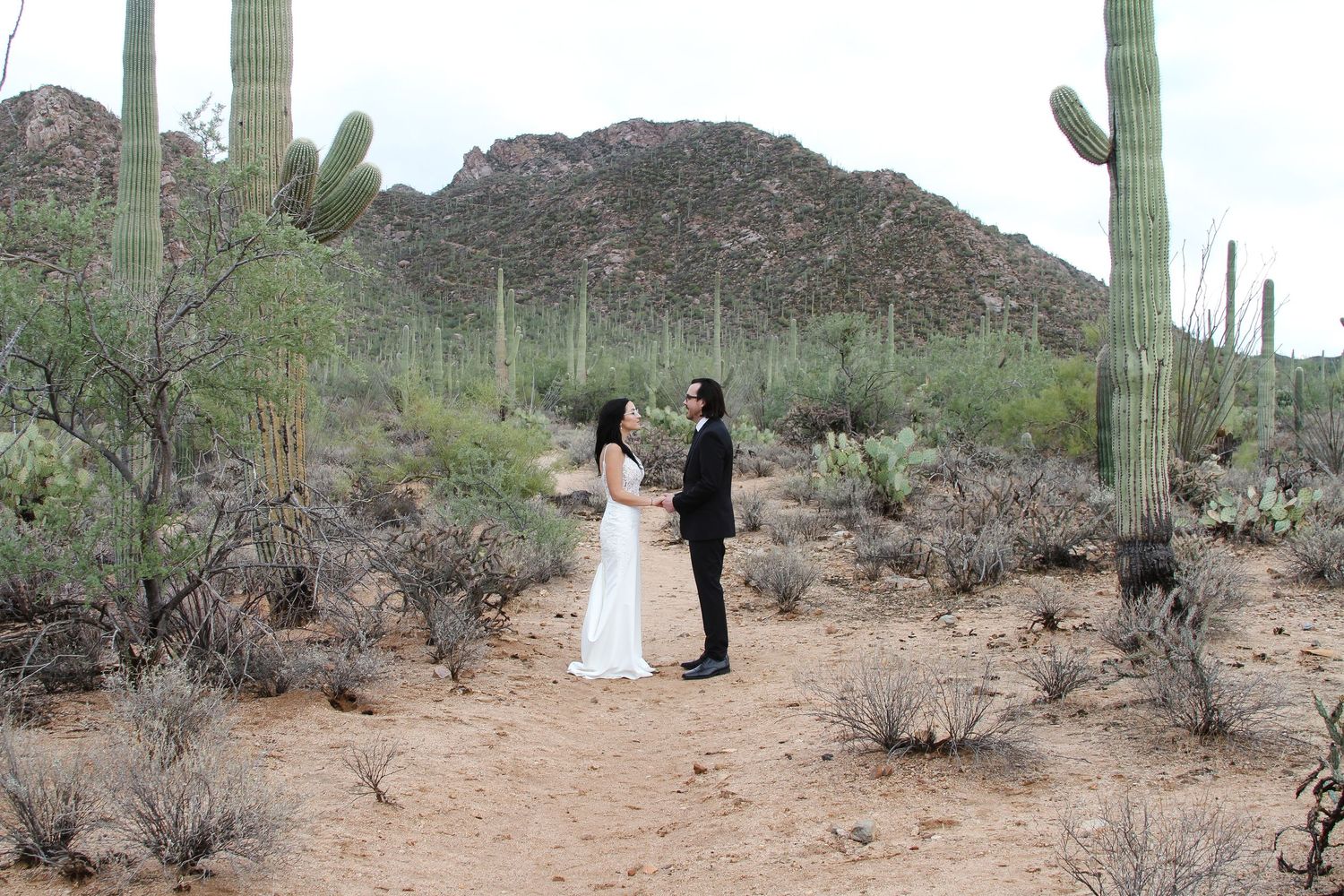 Wide wedding shots in desert terrain with towering saguaro cacti in the background.