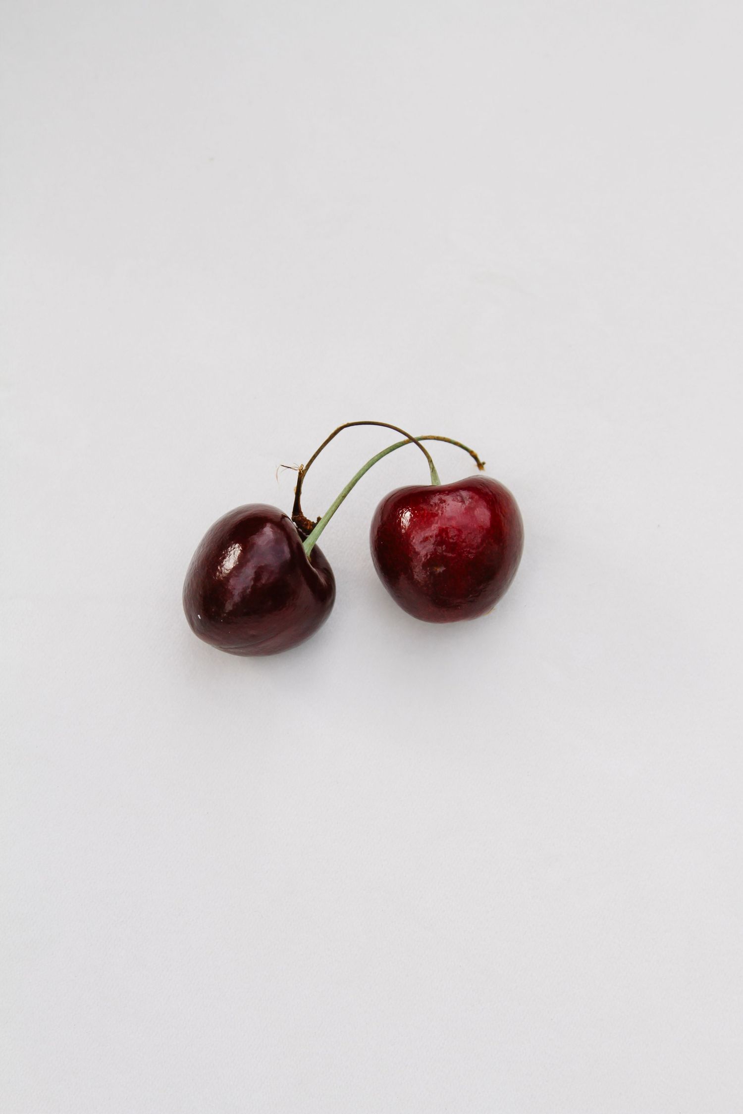 Two fresh dark red cherries with stems joined together on a white background.