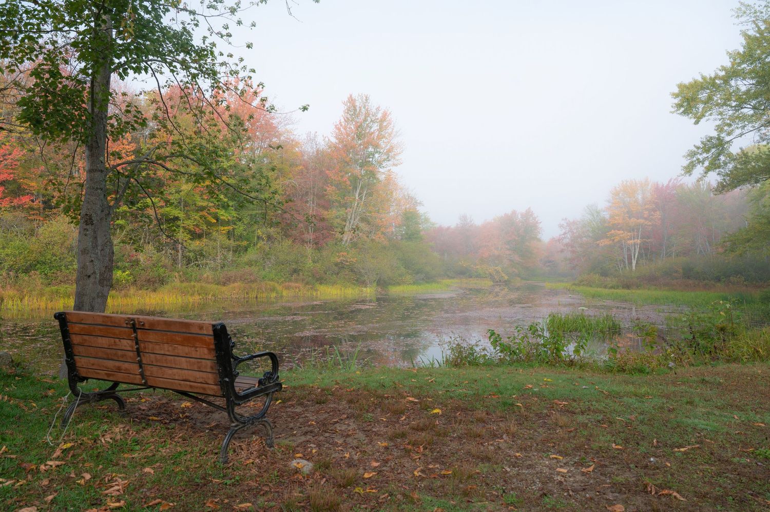 Ashuelot River park during the peak of fall
