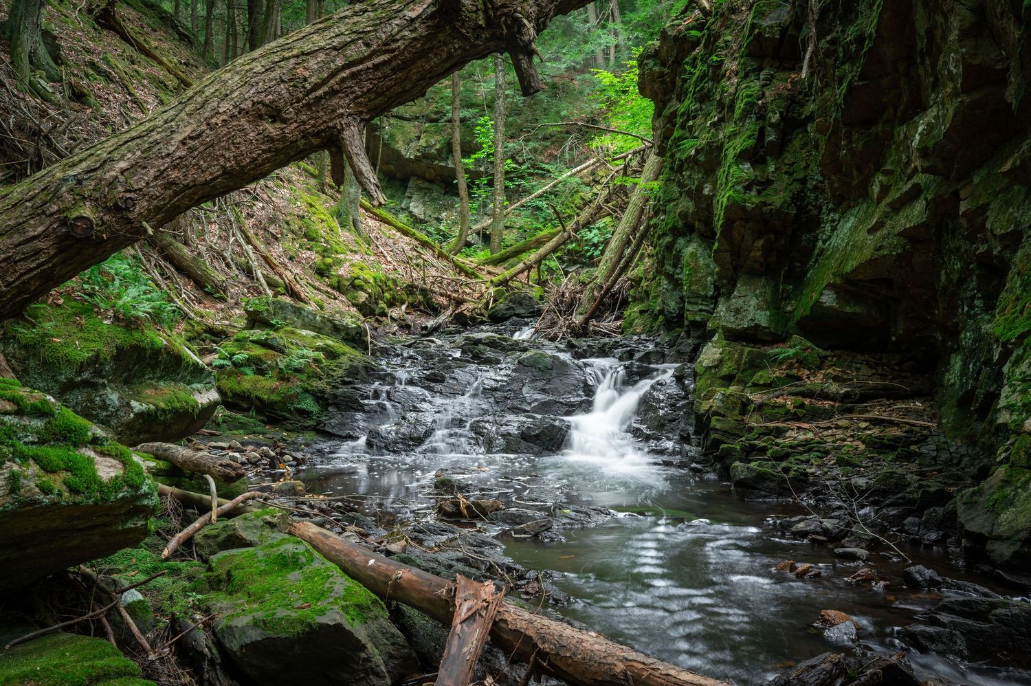 Running water at Chesterfield Gorge