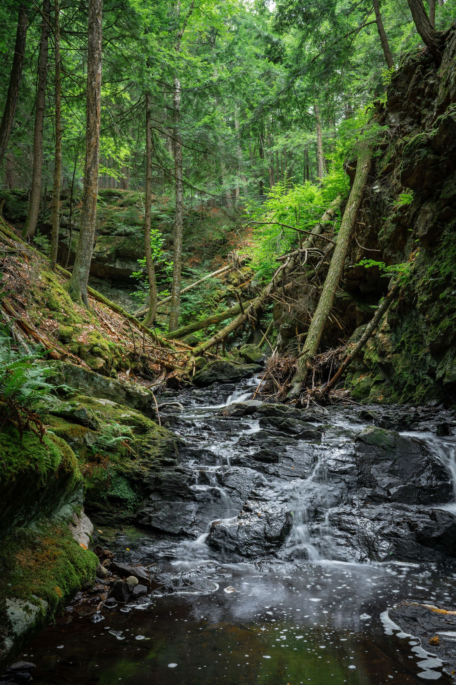 A running river at Chesterfield Gorge