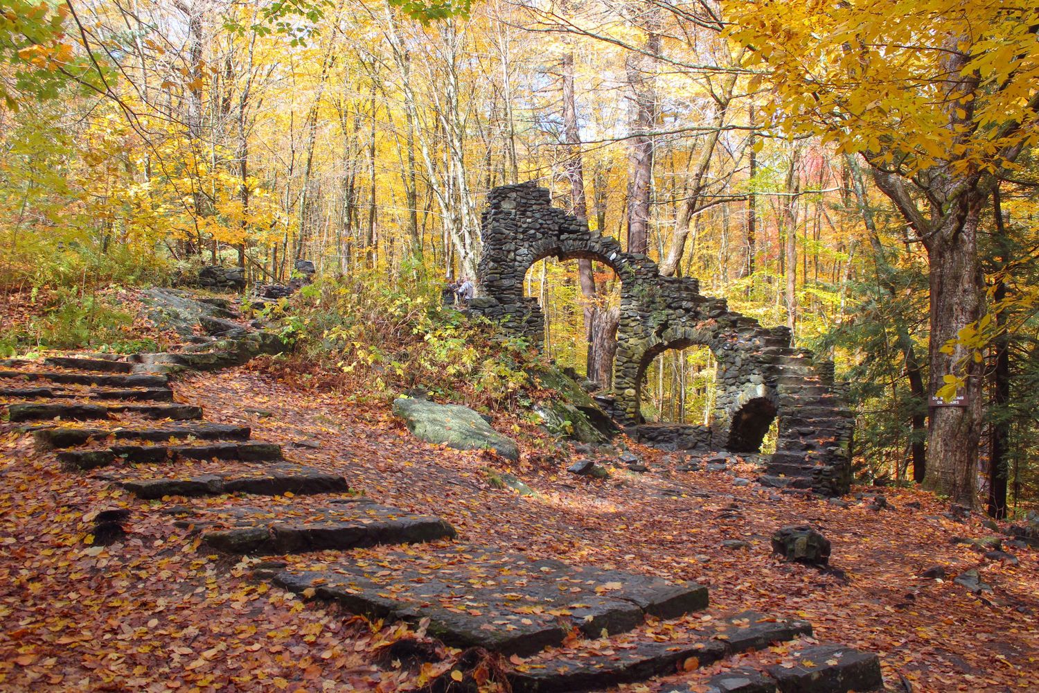 The peak of fall at Madame Sherri's forest in Chesterfield, New Hampshire