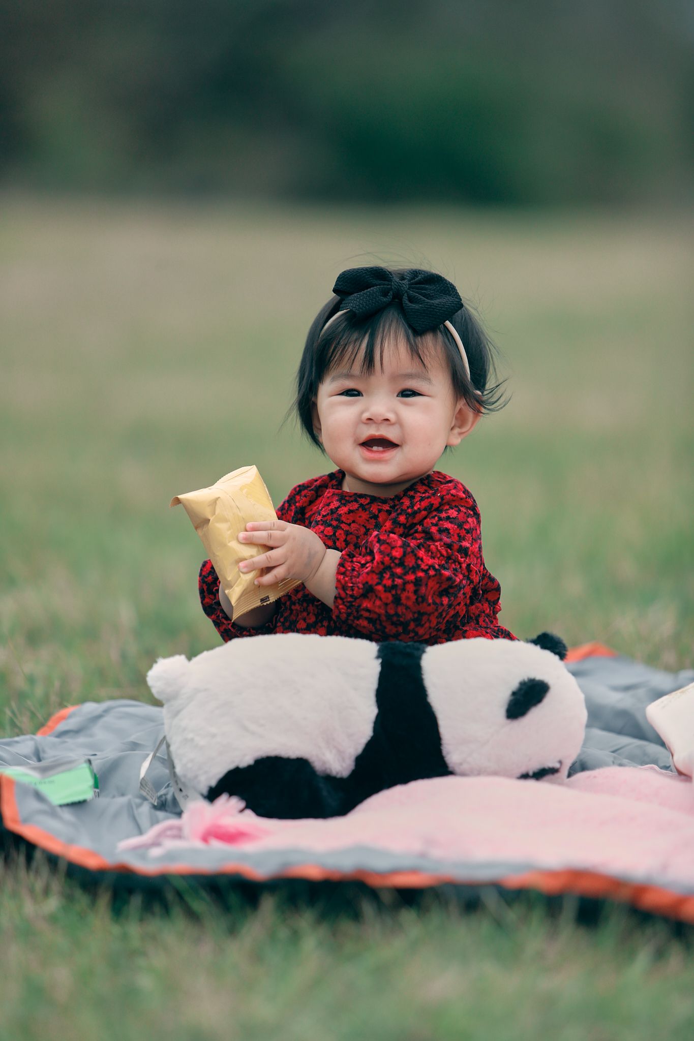Smiling baby girl in red dress holding snack beside panda stuffed animal on colorful blanket in green park.