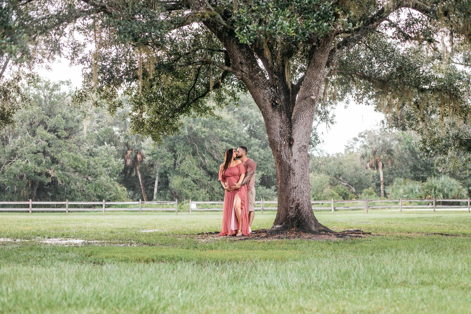 A couple poses together in a romantic outdoor photoshoot beneath a large oak tree in a grassy field.