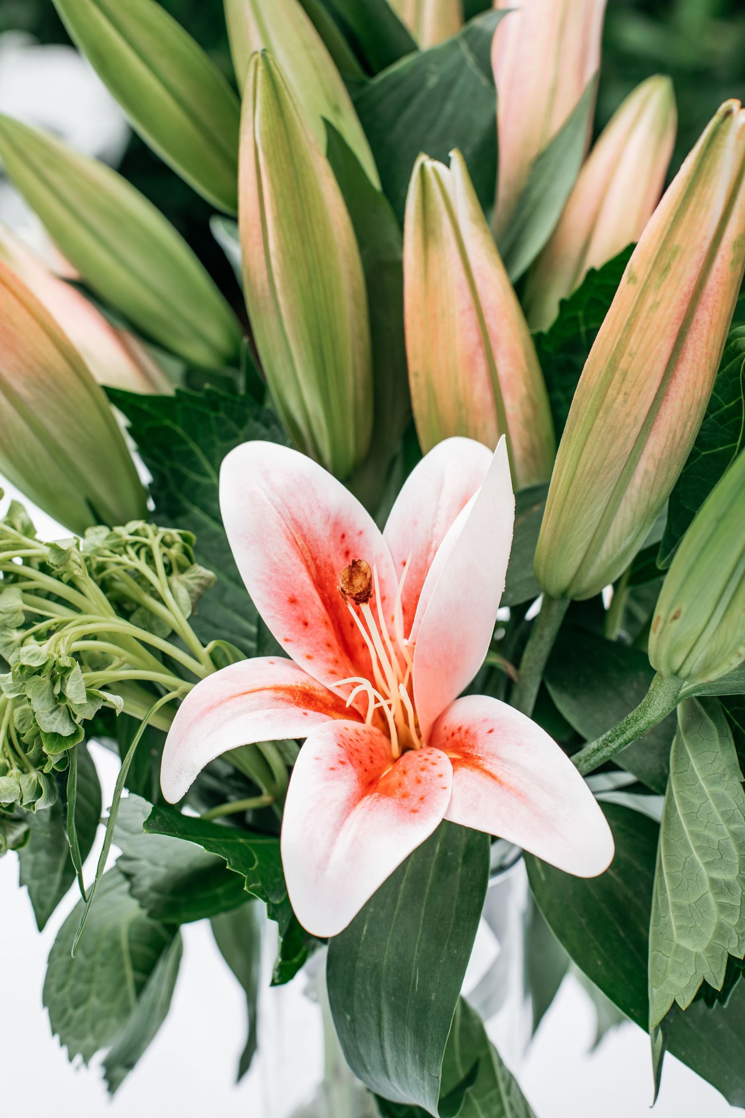 Close-up of a pink lily in bloom surrounded by green buds and lush foliage in a floral arrangement.
