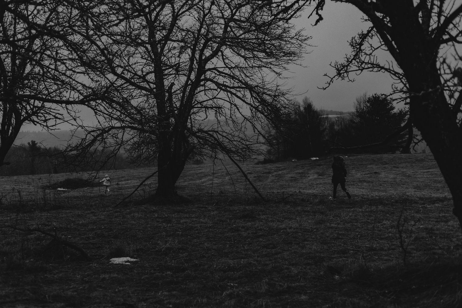 A black and white panoramic view of a rural landscape with bare trees silhouetted against a moody sky.