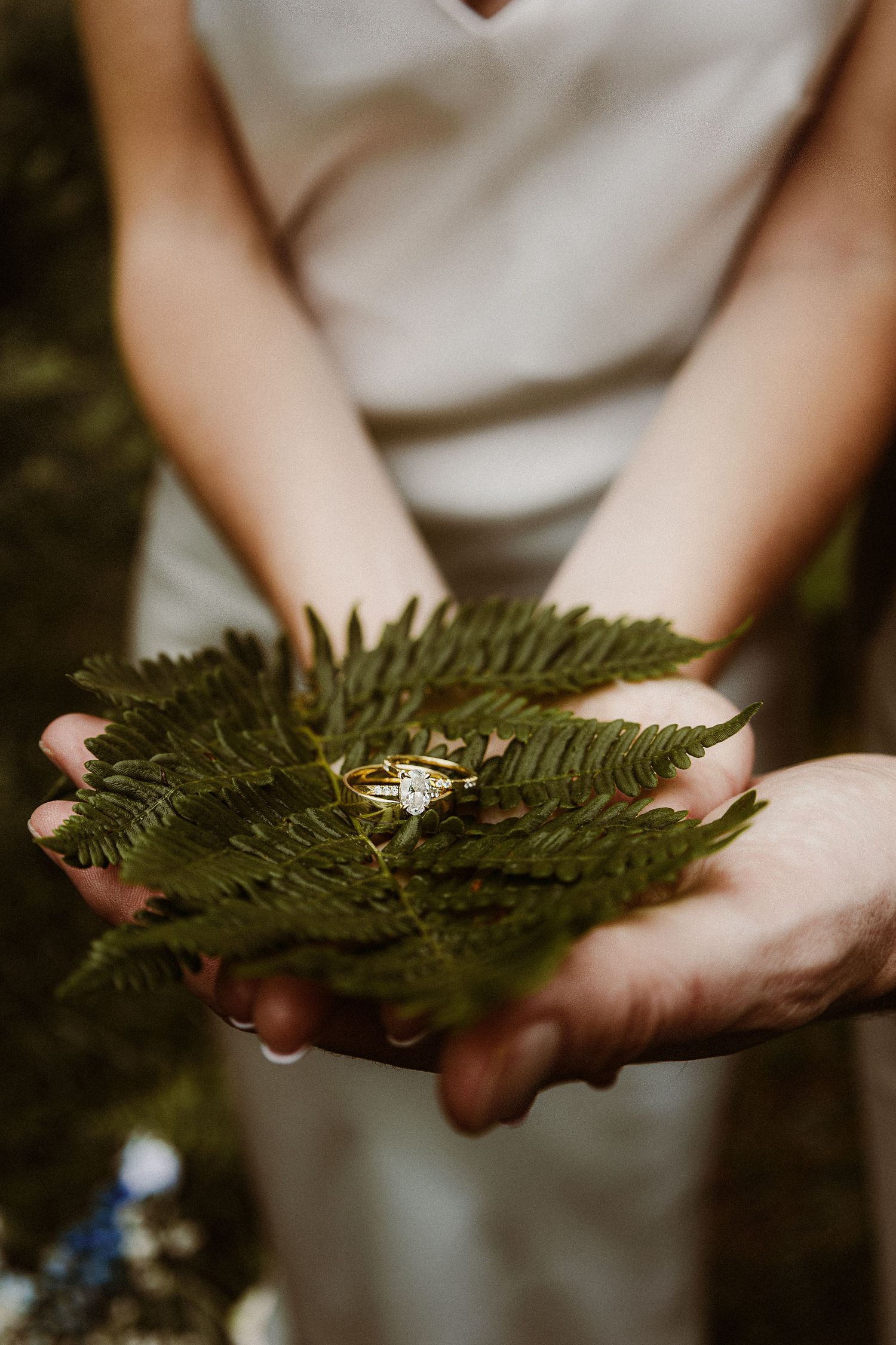 A diamond engagement ring displayed on a green fern leaf held in outstretched hands.