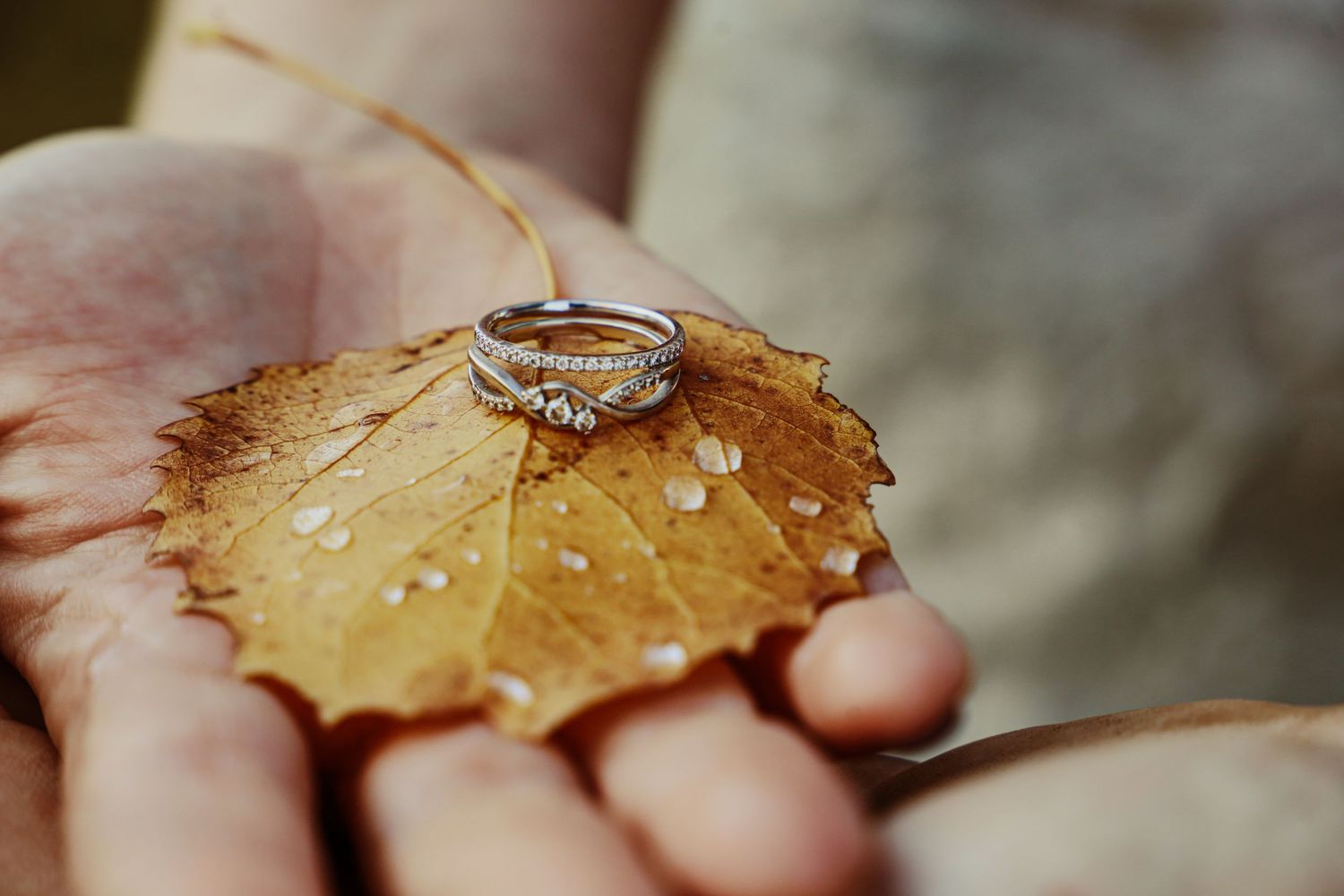 Engagement ring balanced on a wet autumn leaf held in someone's palm.