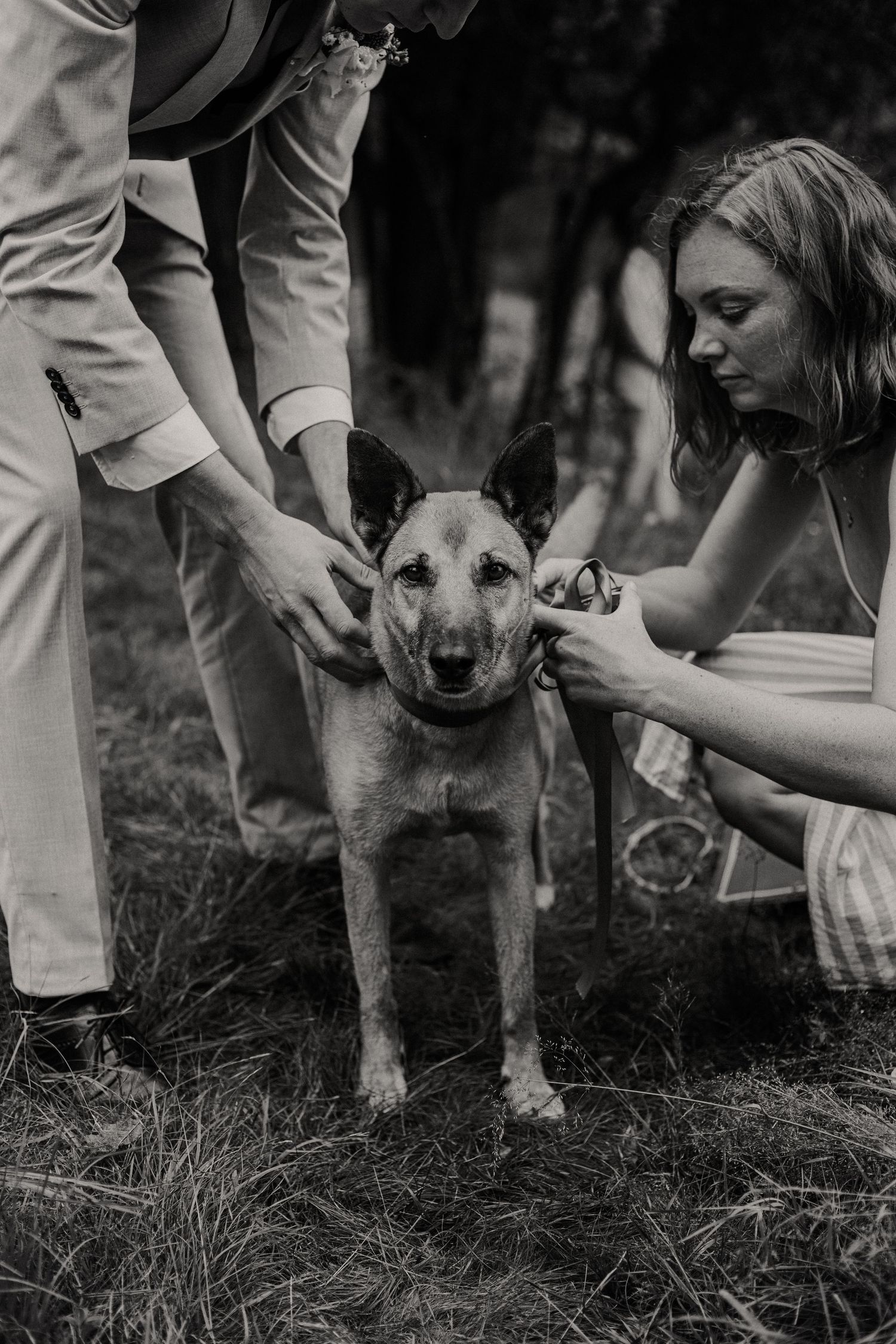Black and white photo of couple petting their dog during wedding ceremony.