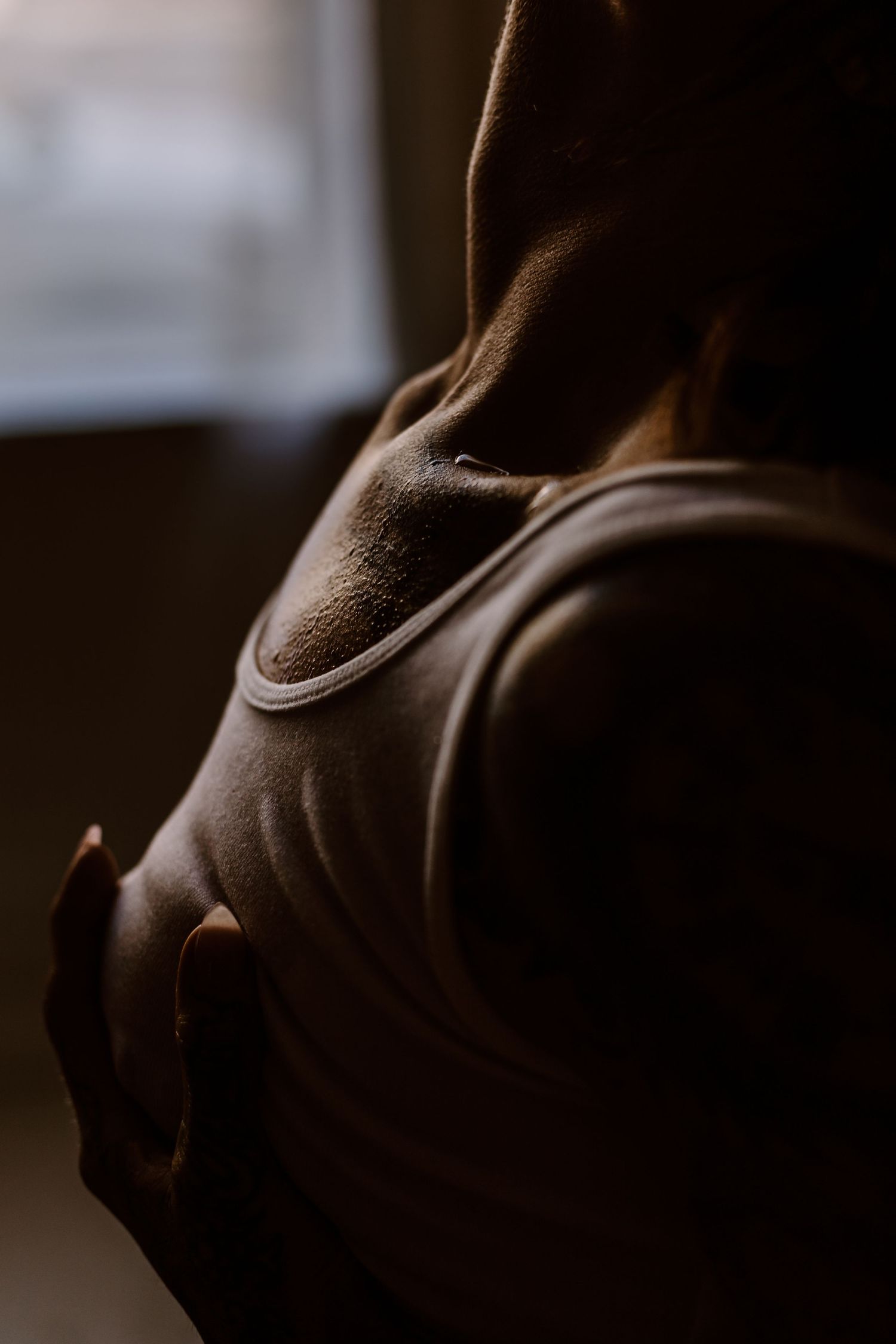 Artistic close-up silhouette of a curved body form in moody lighting.