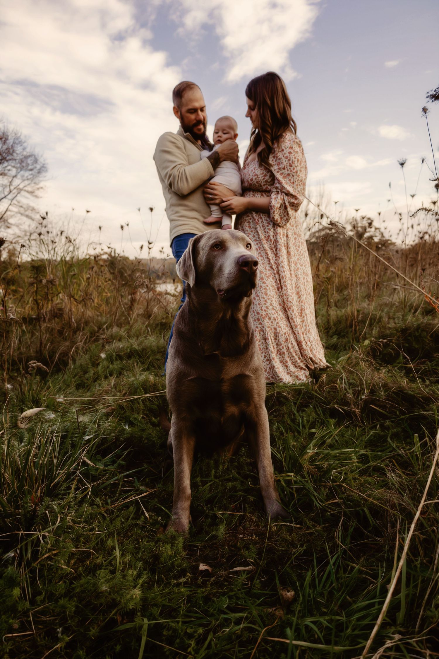 A sweet family moment outdoors with their attentive brown dog in a field of tall grass at sunset.