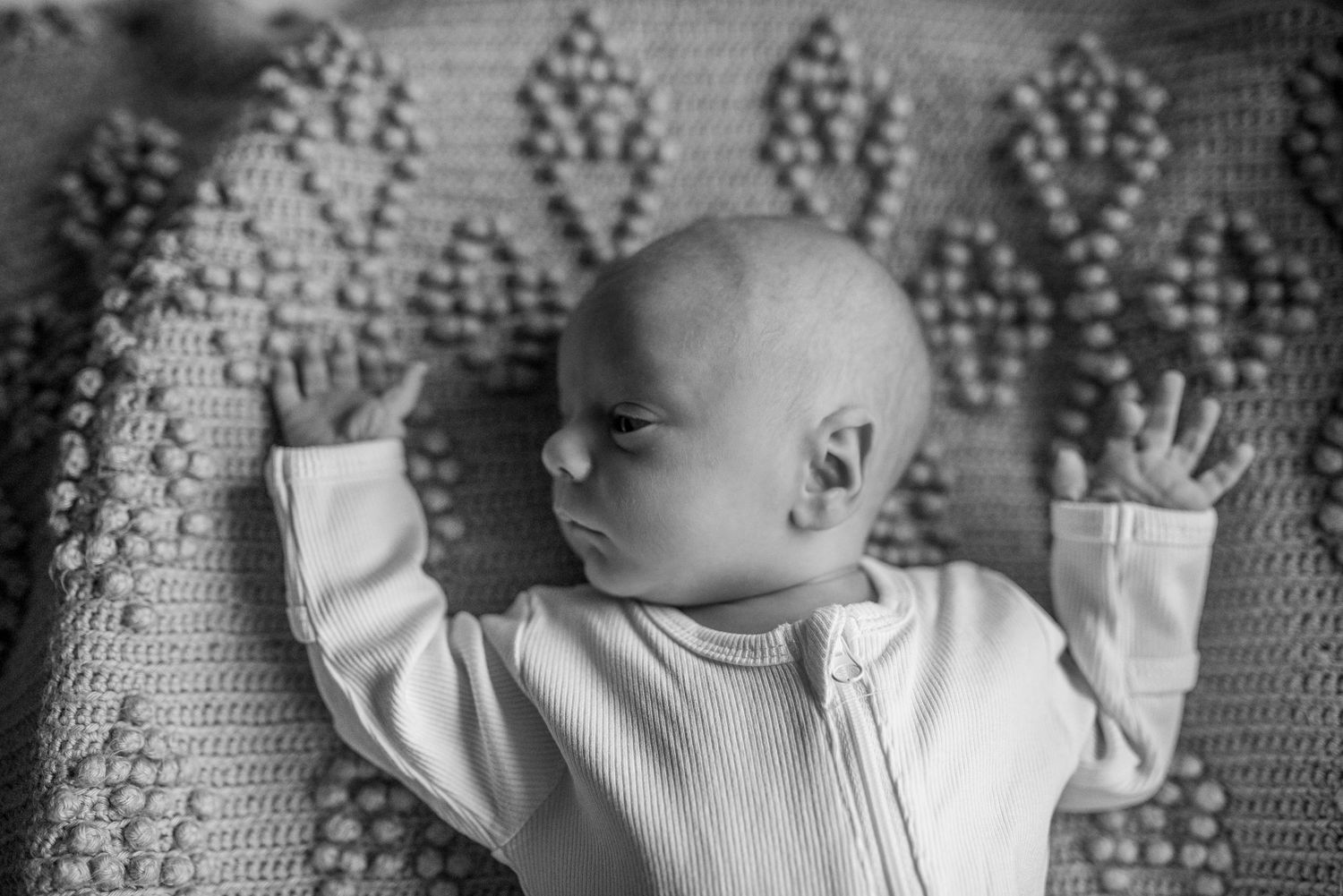 newborn
