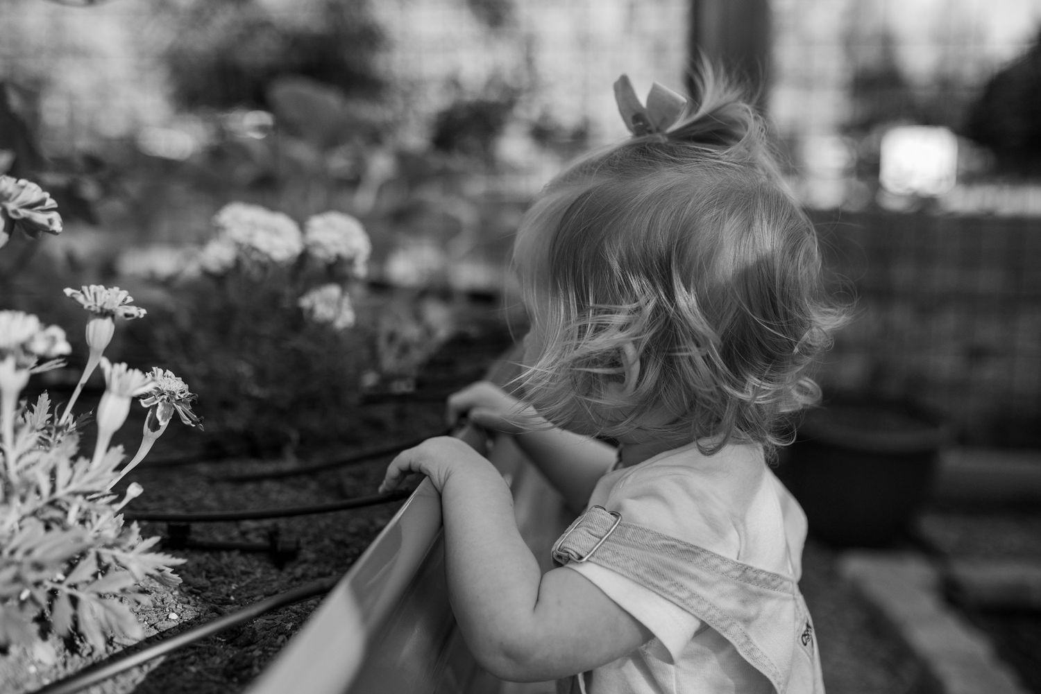 toddler in the garden