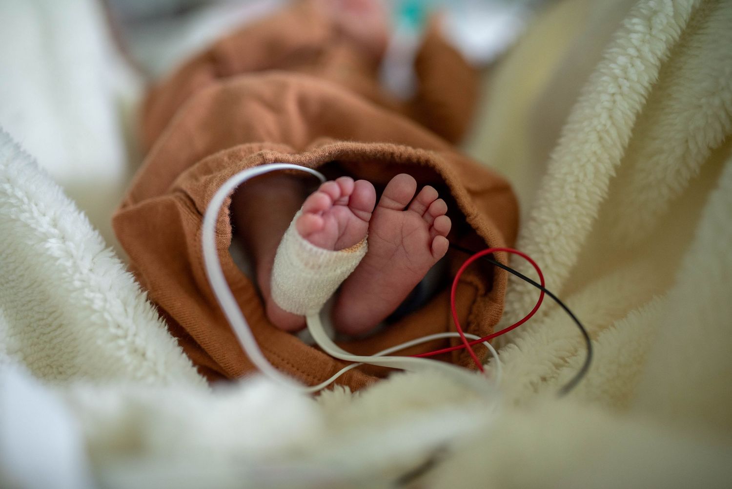 nicu preemie