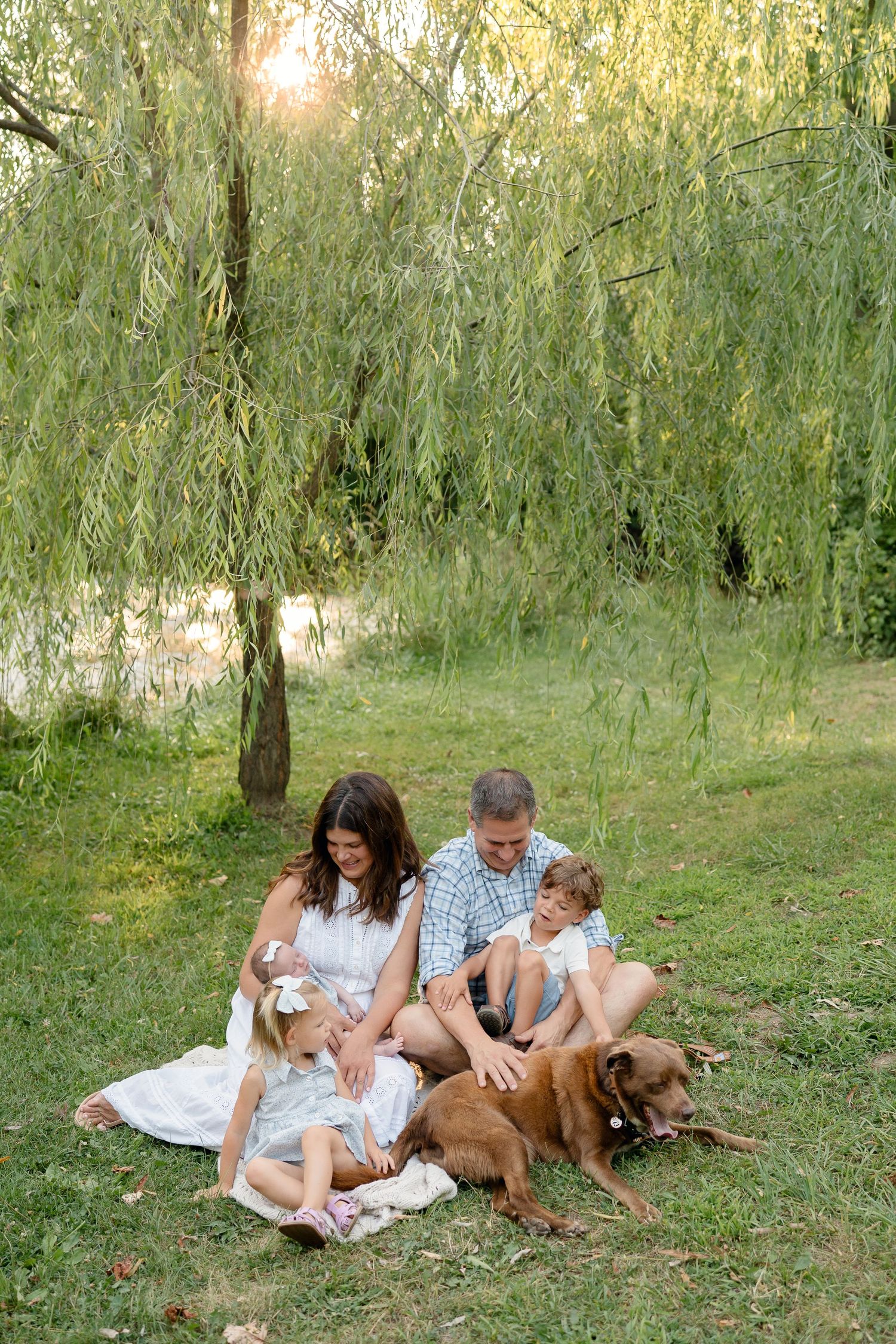 Family with two children and a brown dog sitting on grass under a weeping willow tree at sunset.