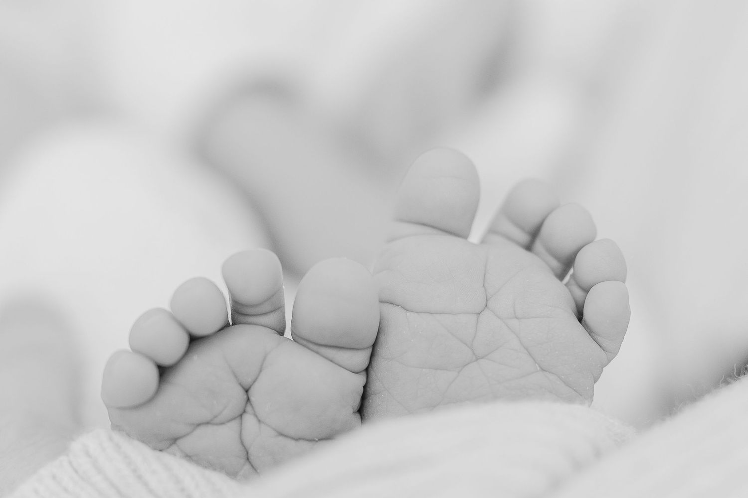Close-up black and white photo of tiny newborn baby feet resting softly on a white blanket.