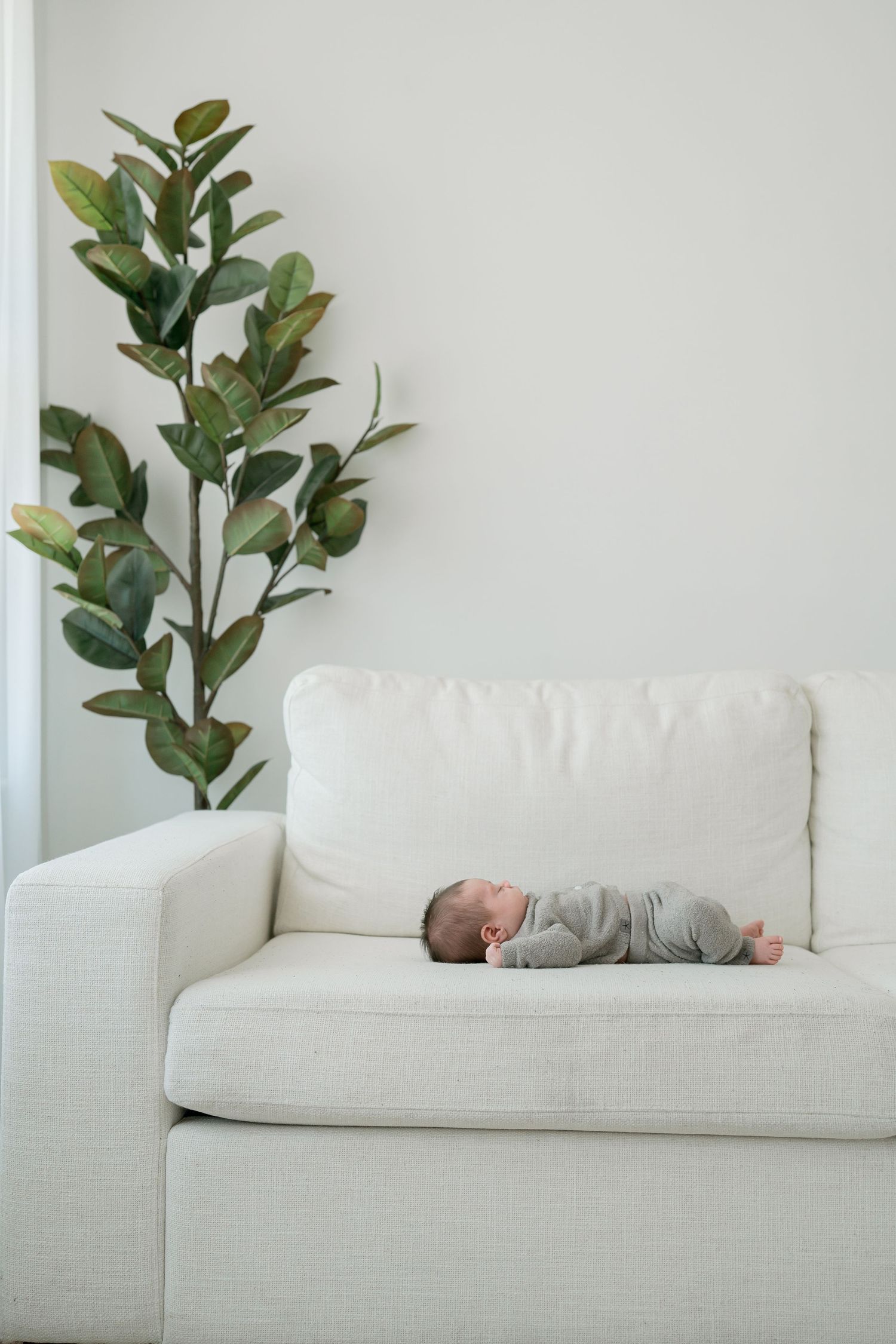 Newborn baby sleeping peacefully on a white sofa next to a green fiddle leaf fig plant in a bright room.