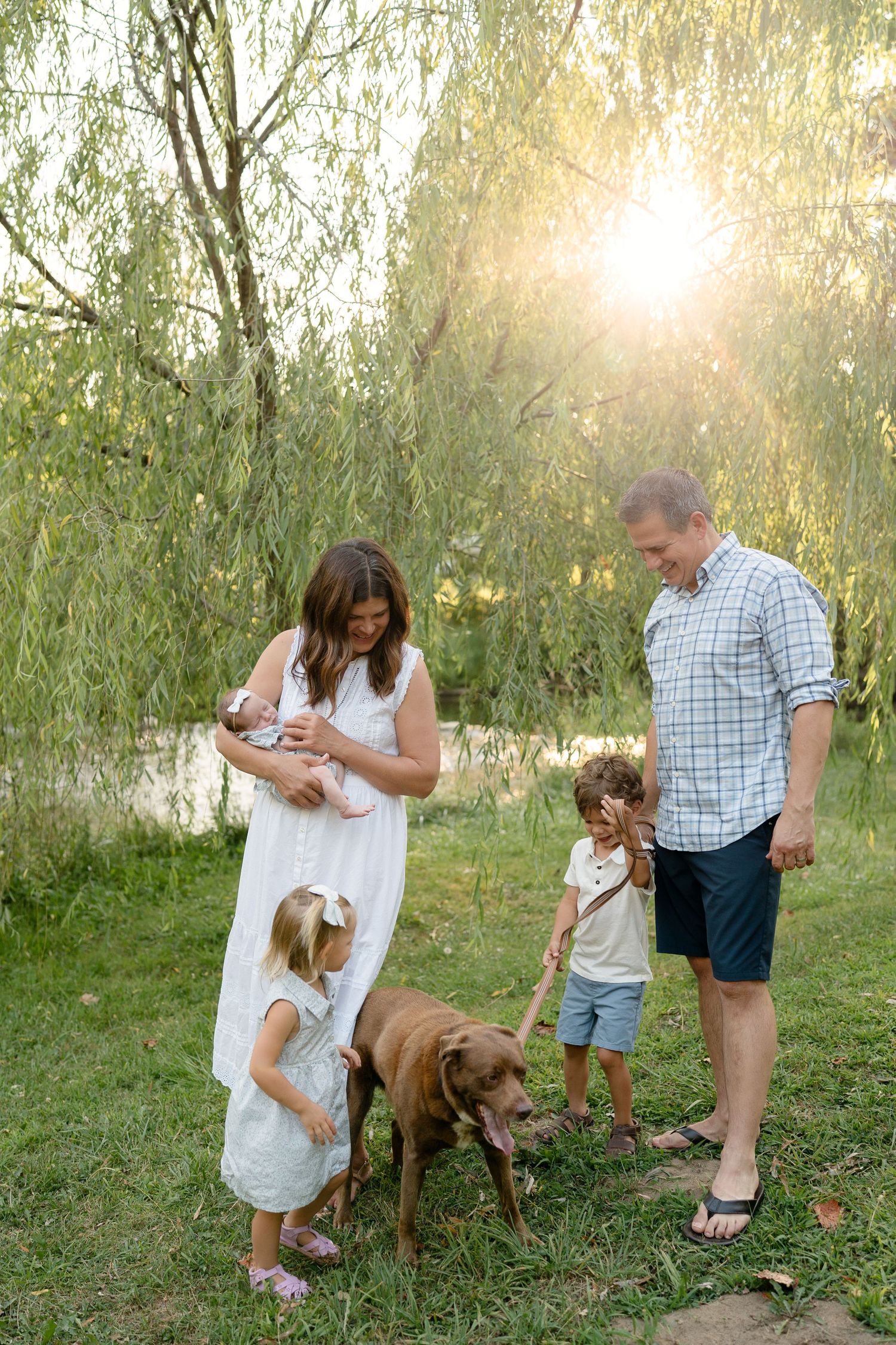 Family with newborn, toddler, boy, and brown dog pose outdoors near willow tree with golden sunlight.