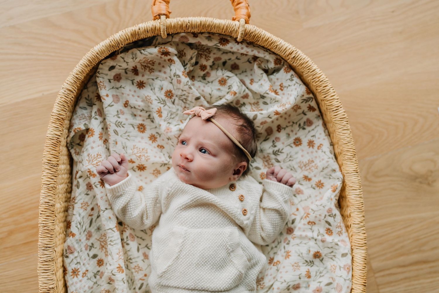 metro Detroit newborn photographer, oakland county newborn photographer, troy family photographer, michigan newborn photographer, royal oak