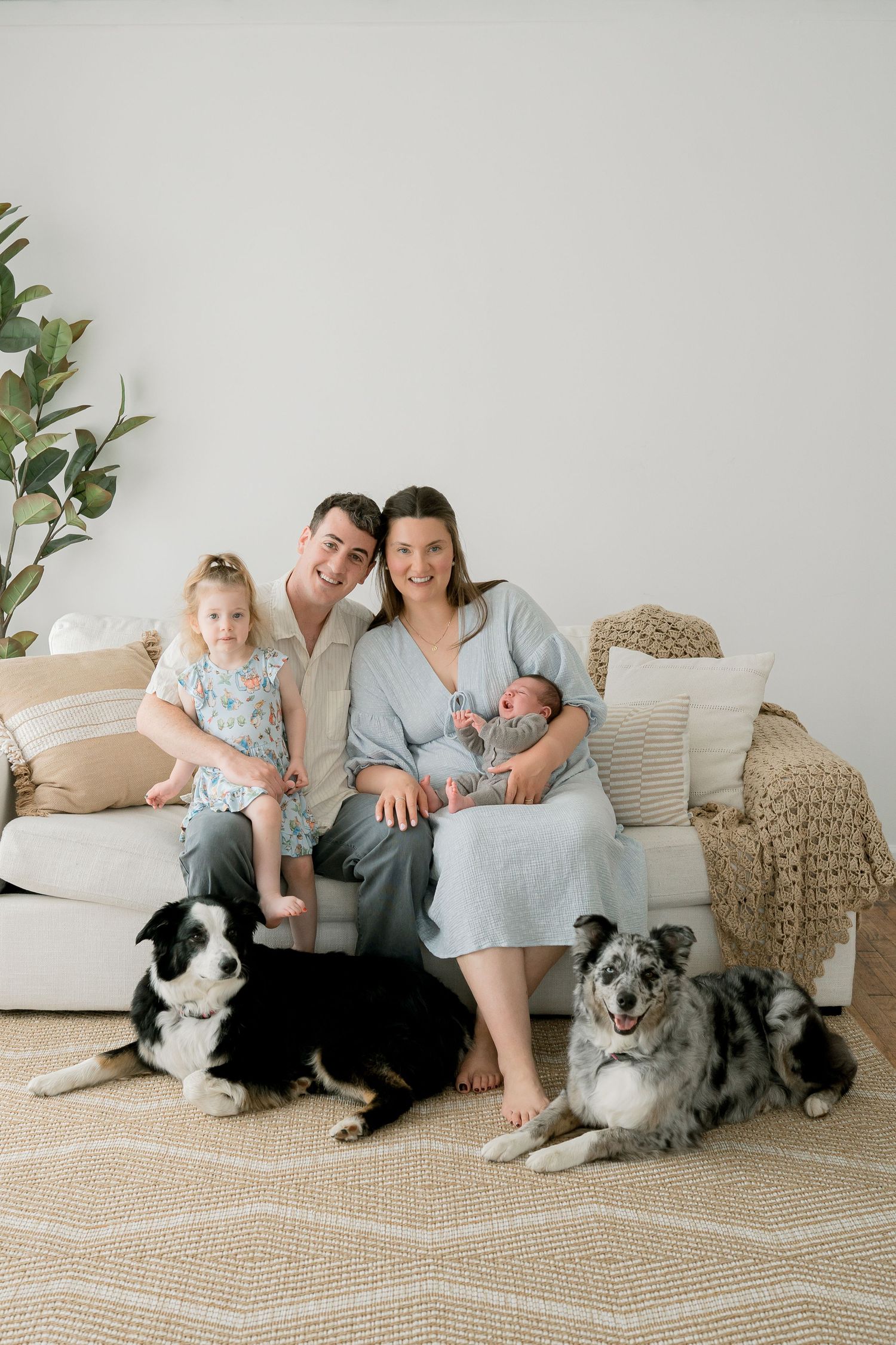 Family of four with two border collies posing on a cream sofa, parents holding newborn and toddler in a bright living room.