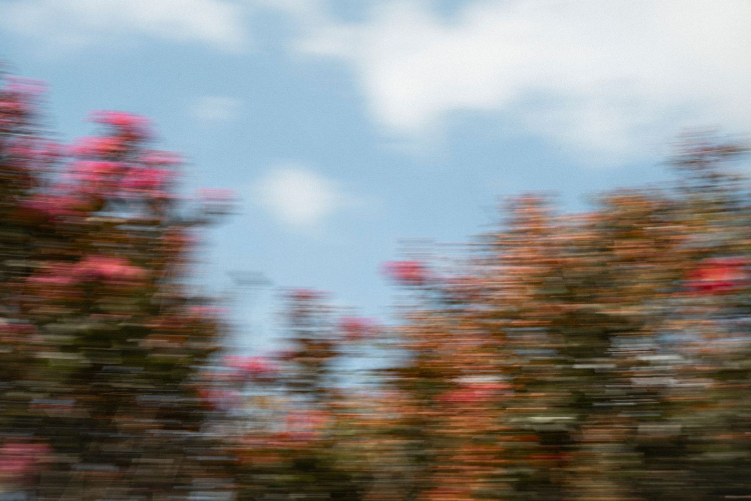 Fotografía naturaleza bodas