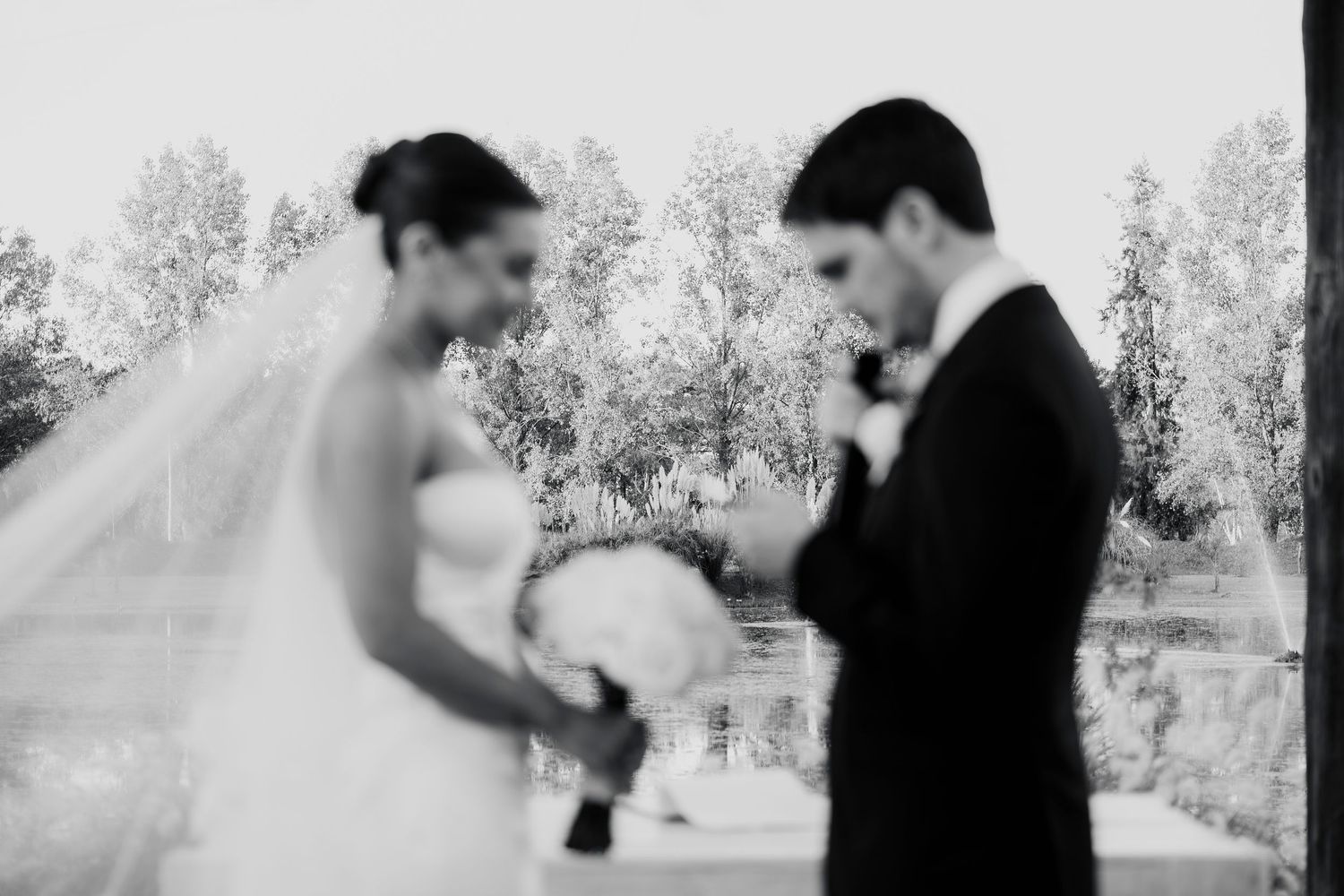 Fotografía de bodas