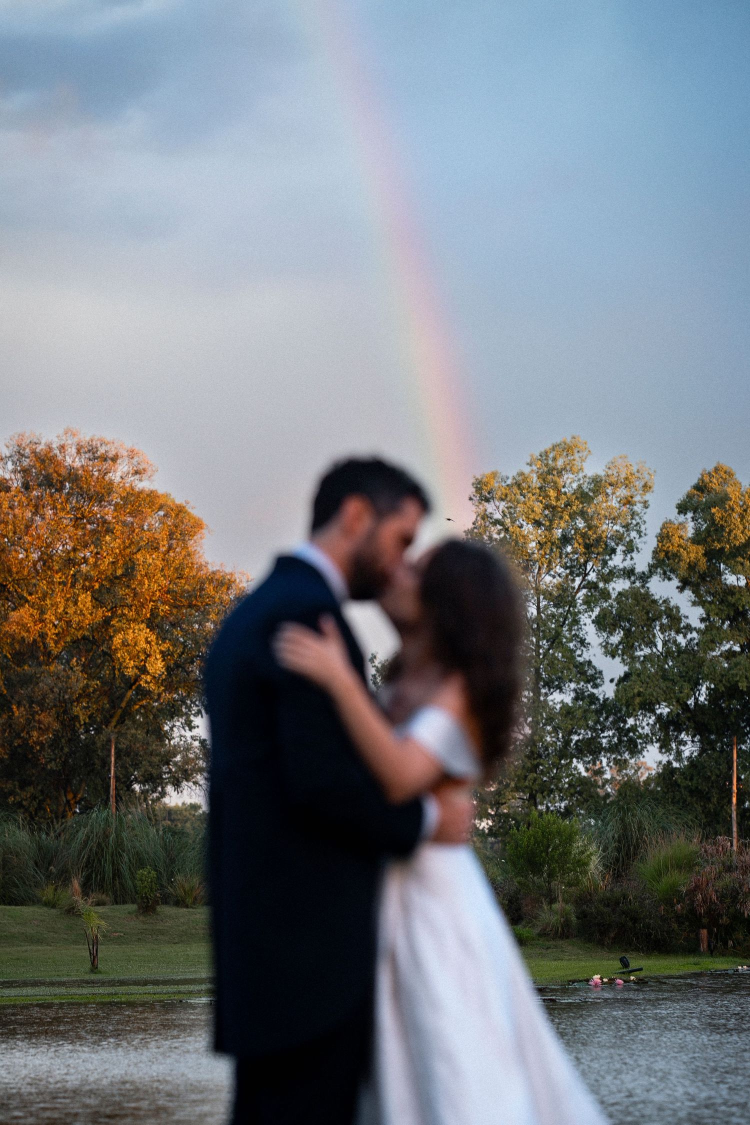 fotografía de bodas
